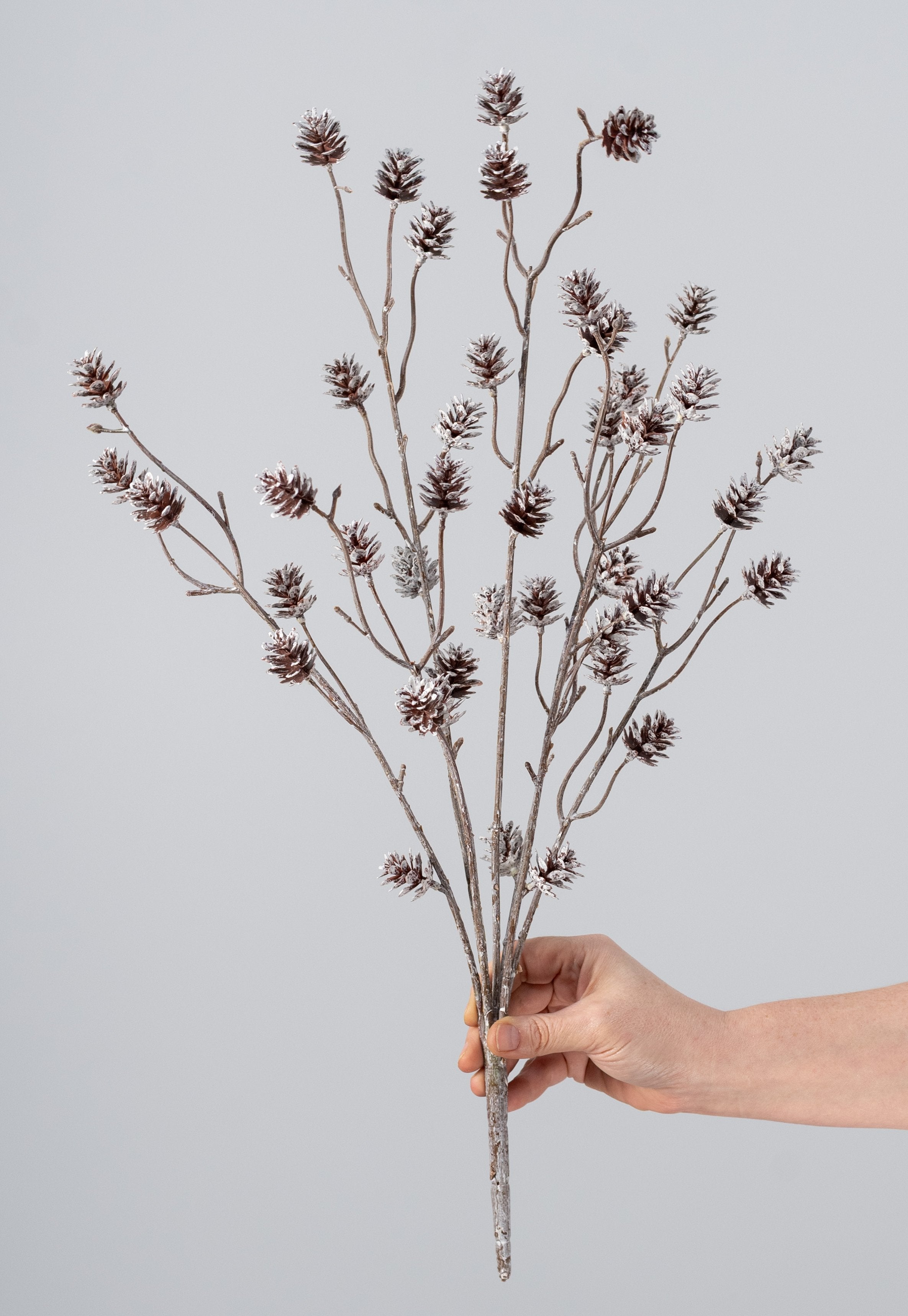 24" Whitewash Pinecone Bush: White & Natural detail photo 3