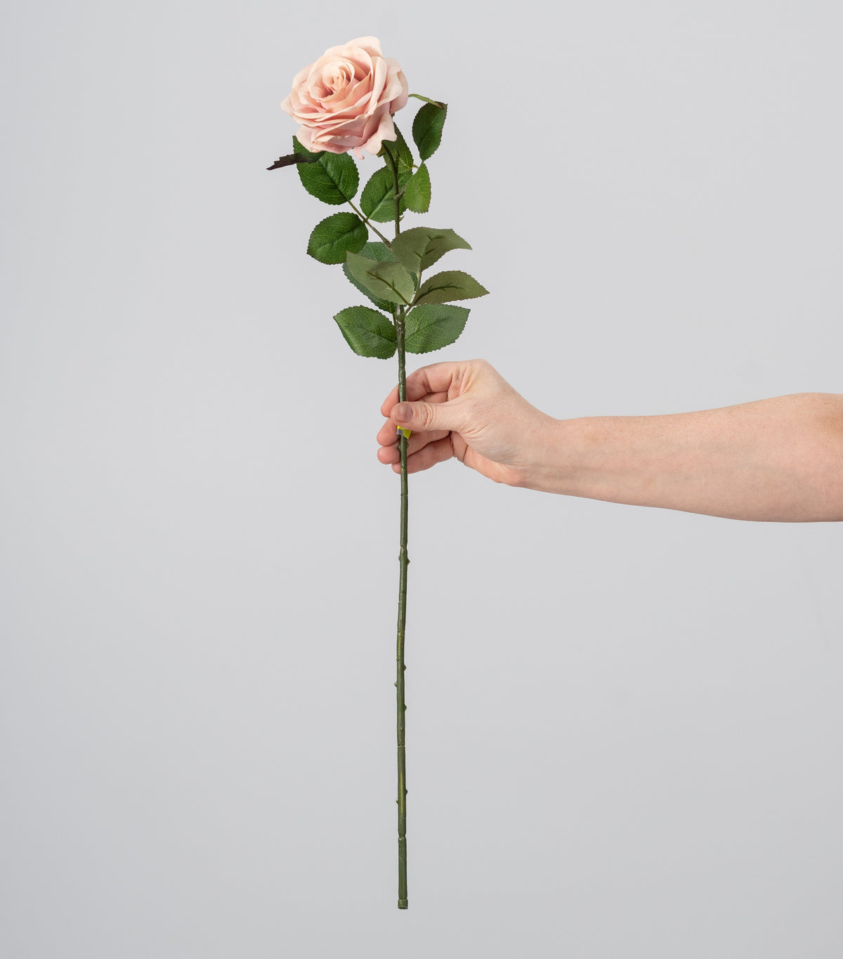 25" Single Rose Stem Spray: Mauve Pink detail photo 3