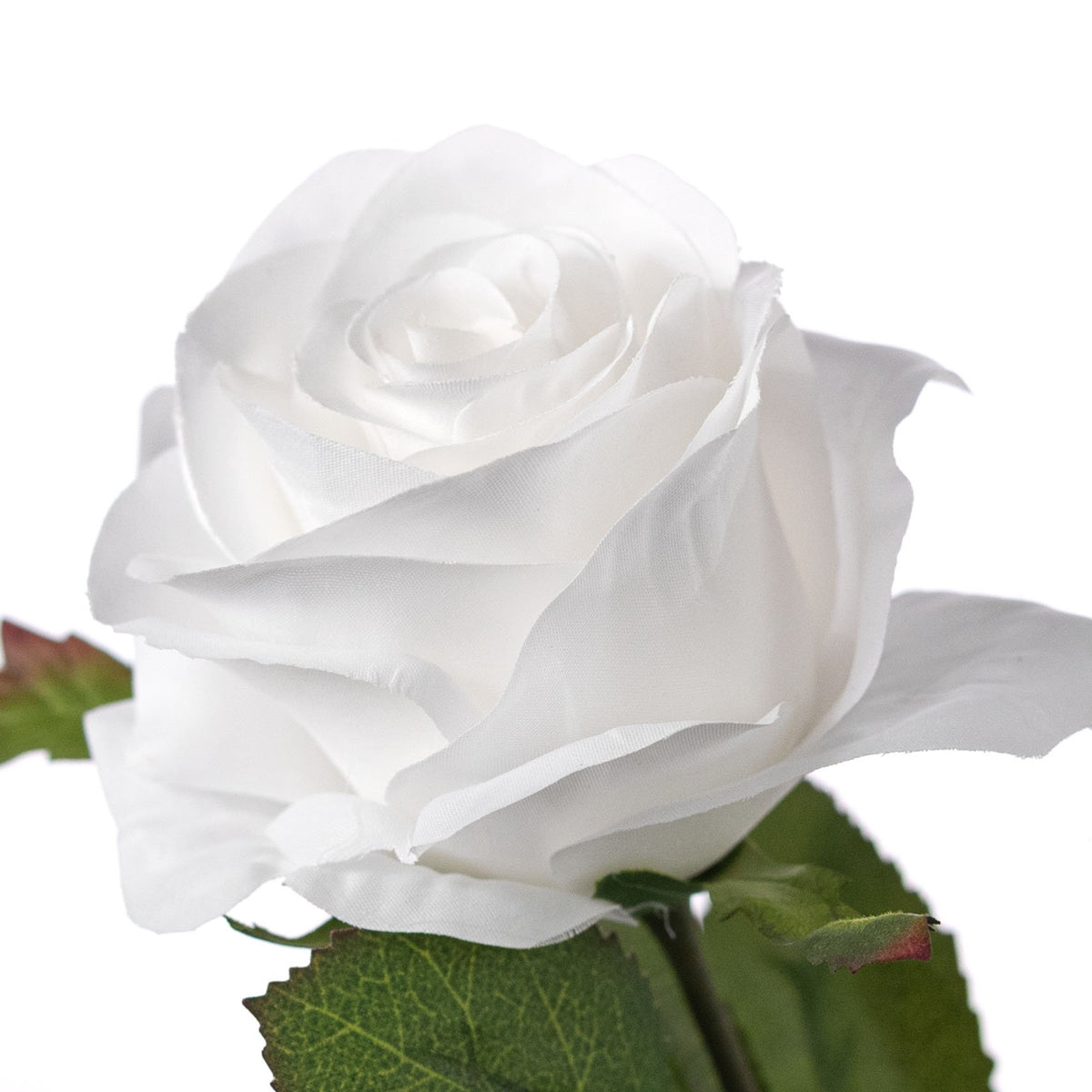 25" Single Rose Stem Spray: White Lifestyle Photo
