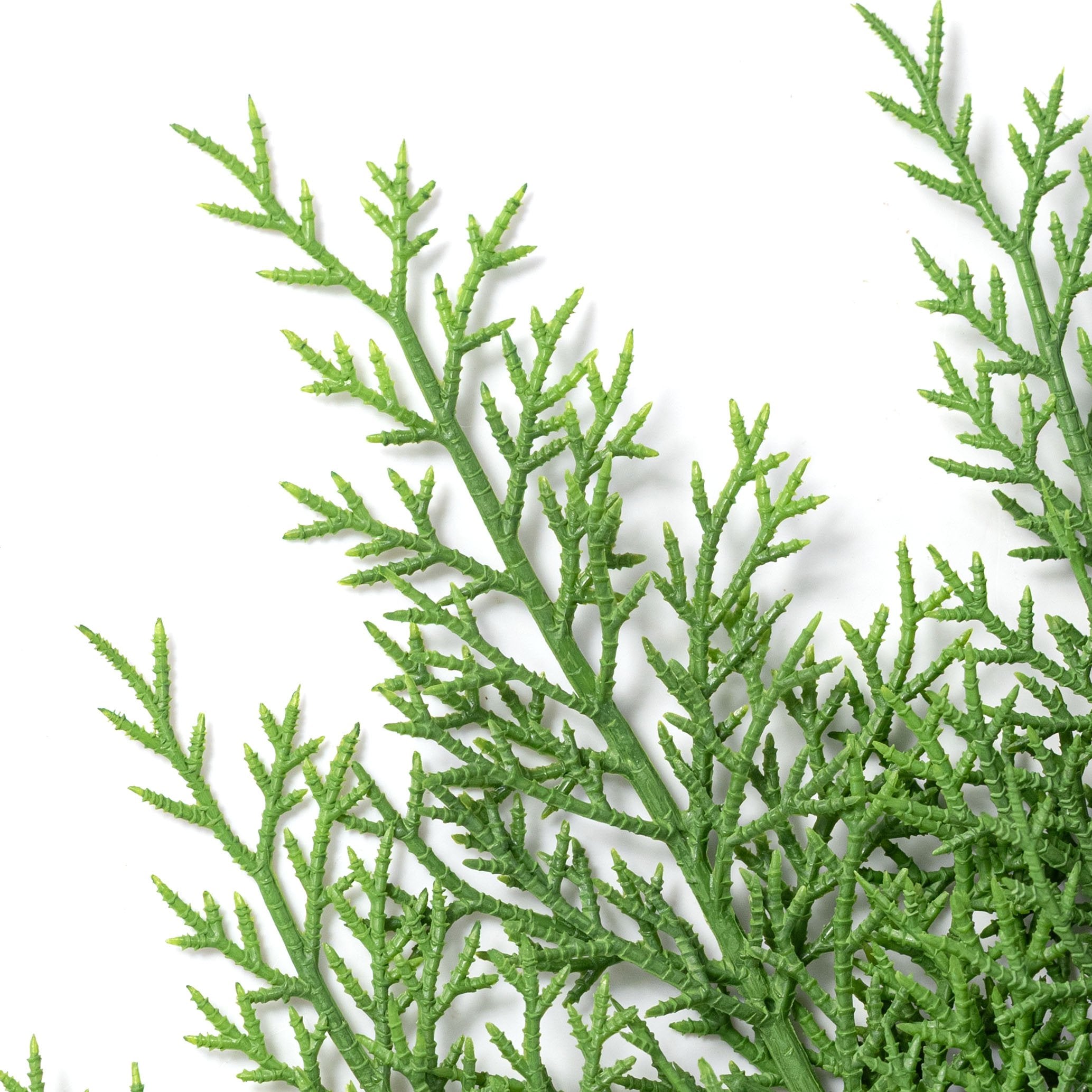 26" Evergreen Cedar Spray: Green Lifestyle Photo