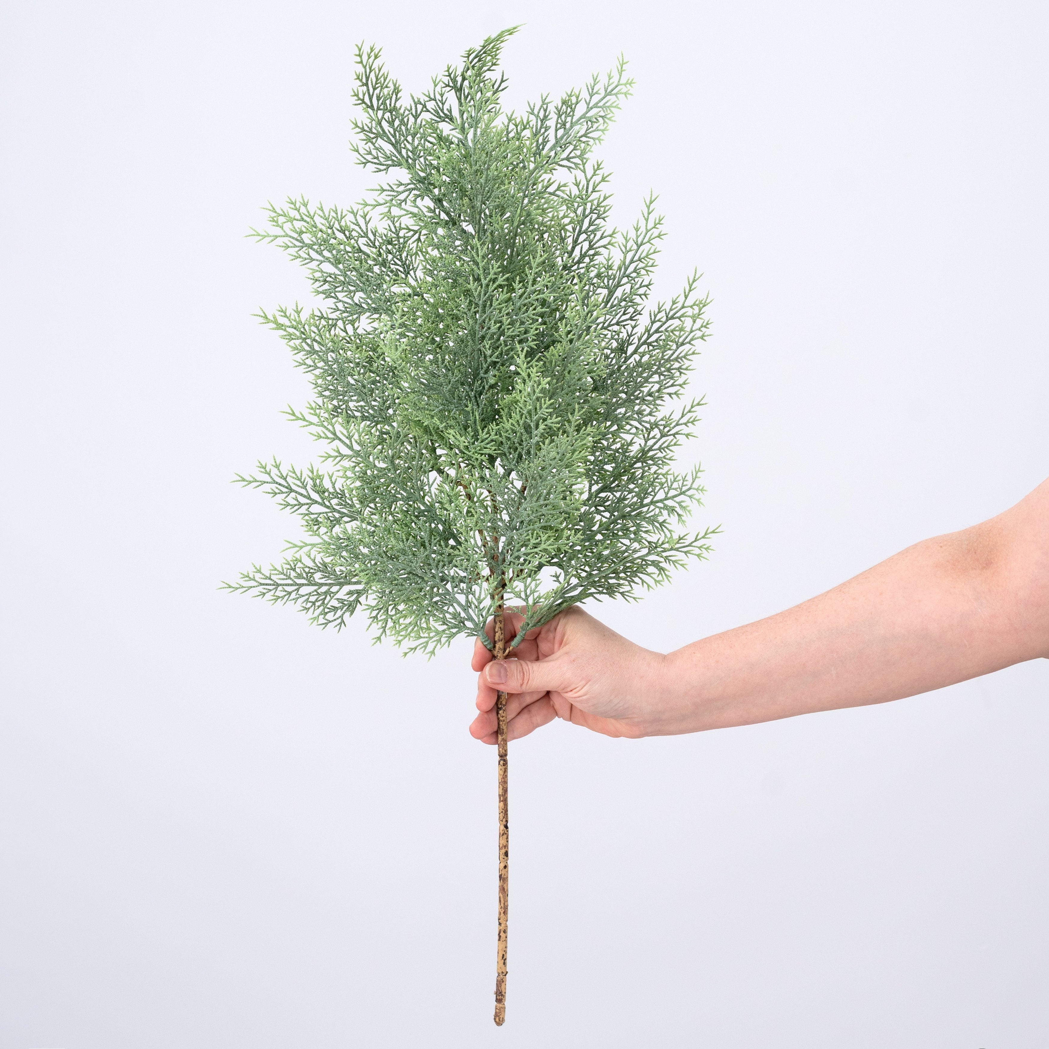 26" Evergreen Cedar Spray: Powdered Green detail photo 3