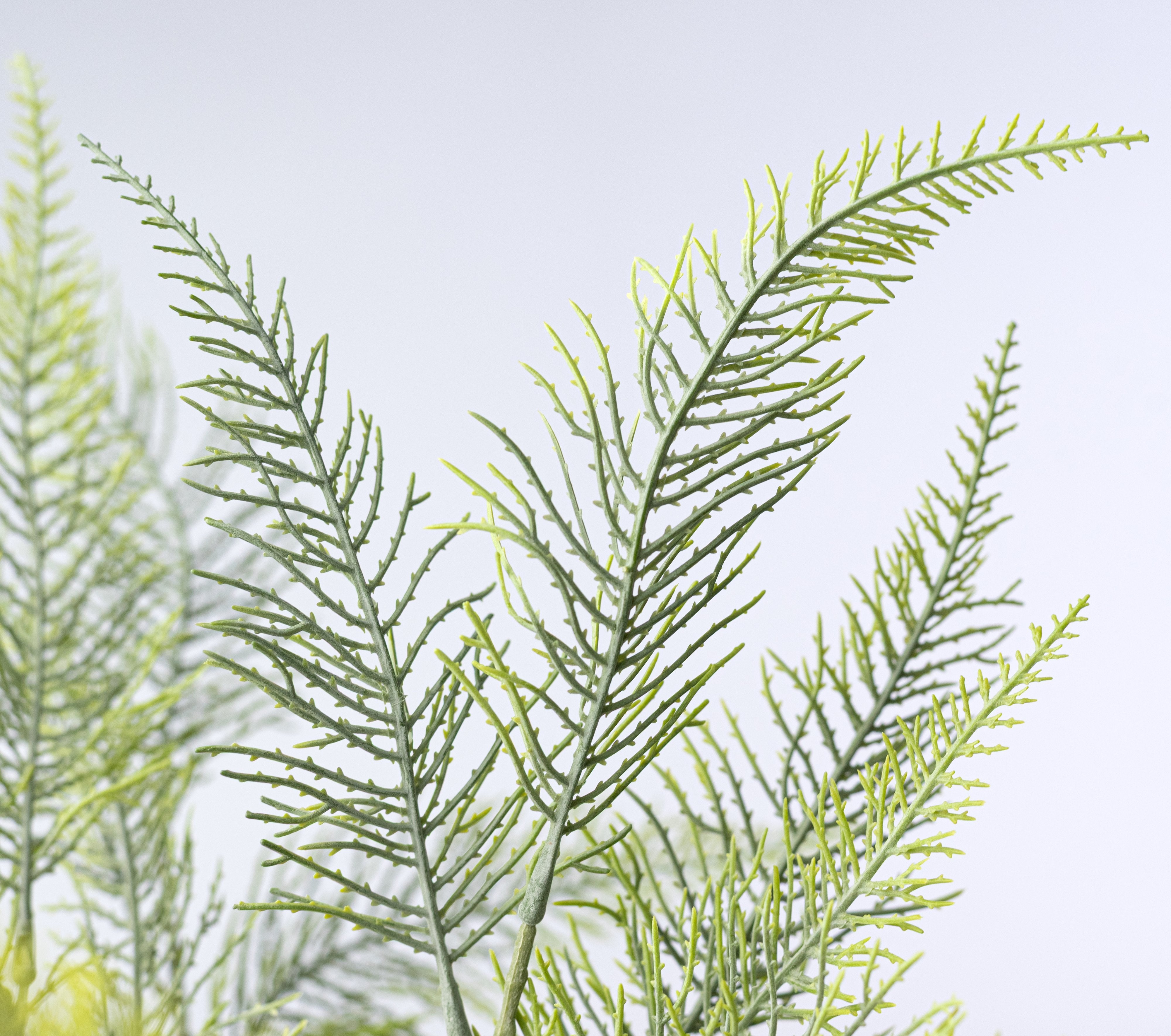 26" Plastic Fern Bush: Two Tone Spring Green (7 Stem) Lifestyle Photo