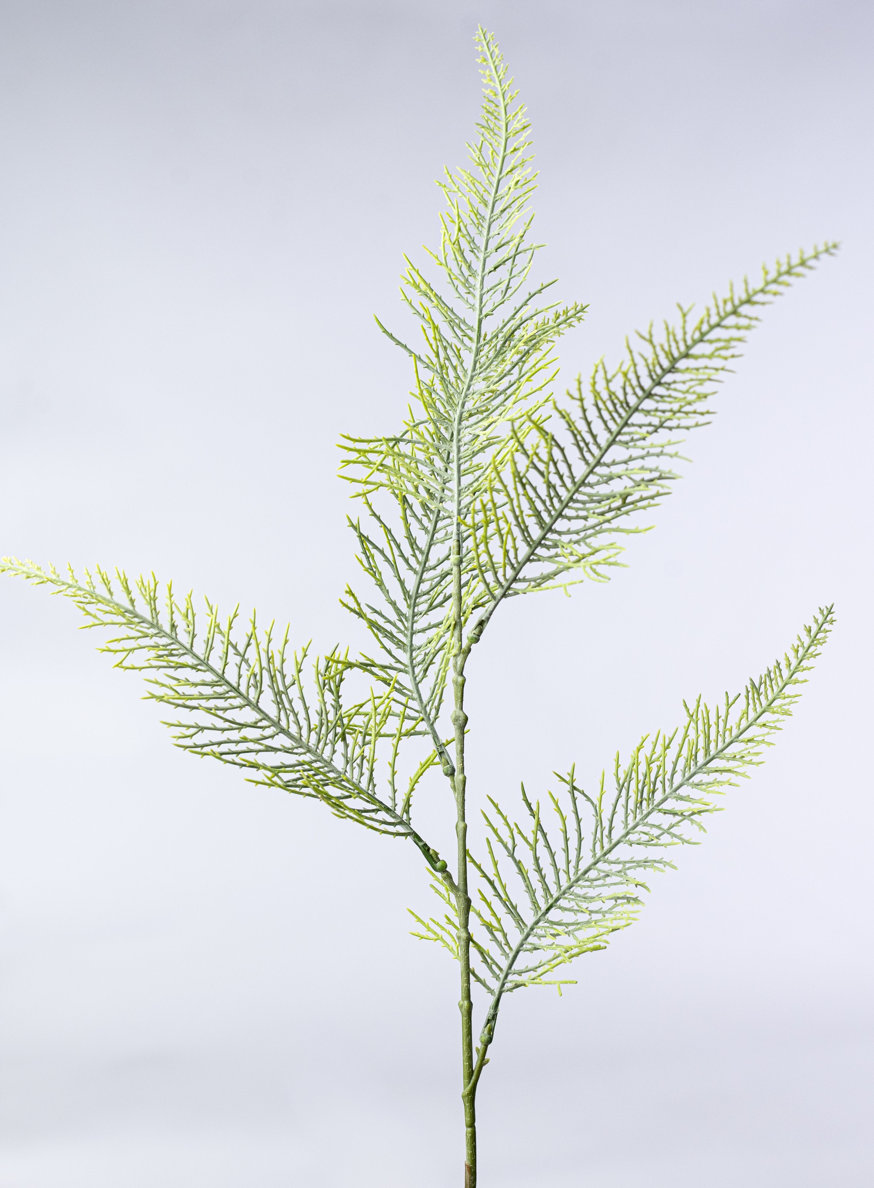 26" Plastic Fern Bush: Two Tone Spring Green (7 Stem) detail photo 4