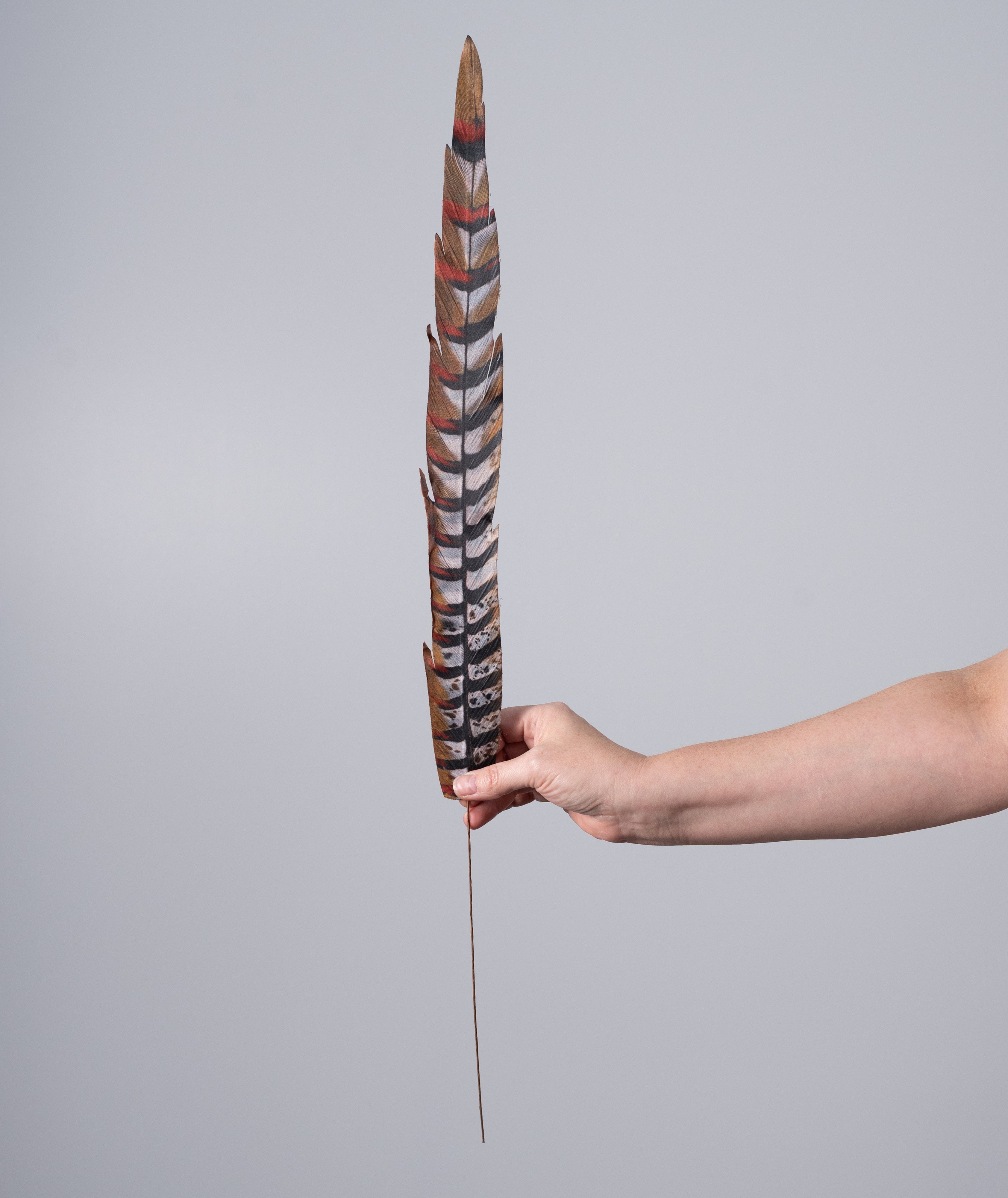 27" Faux Pheasant Feather Spray: Beige, Black & Orange detail photo 4