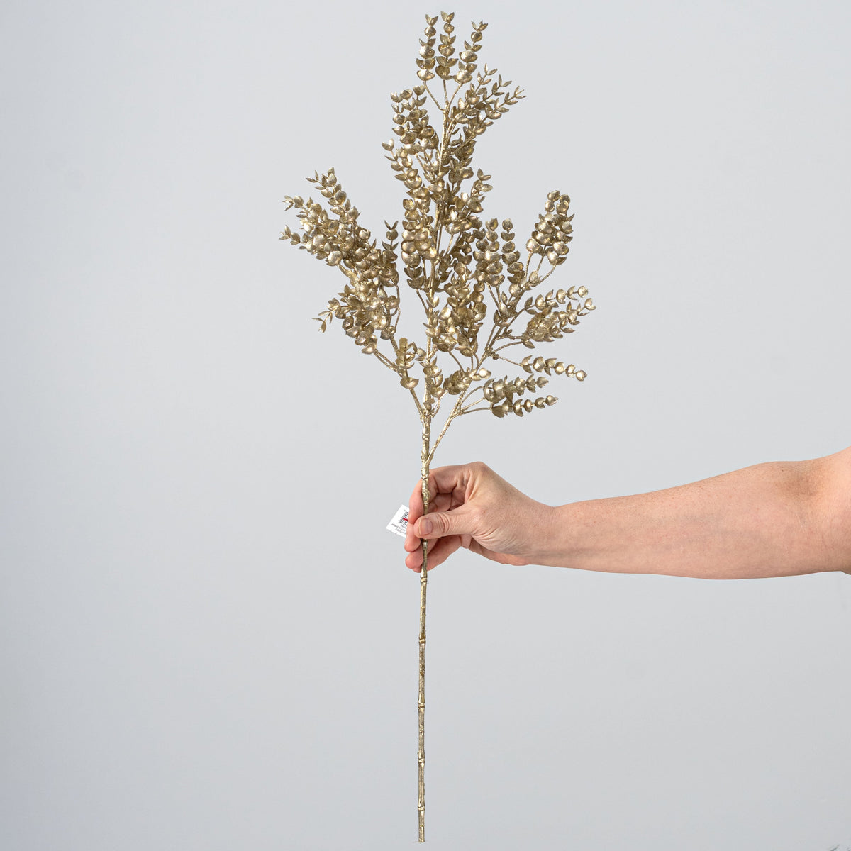 27" Glittered Eucalyptus Spray: Champagne Gold detail photo 3