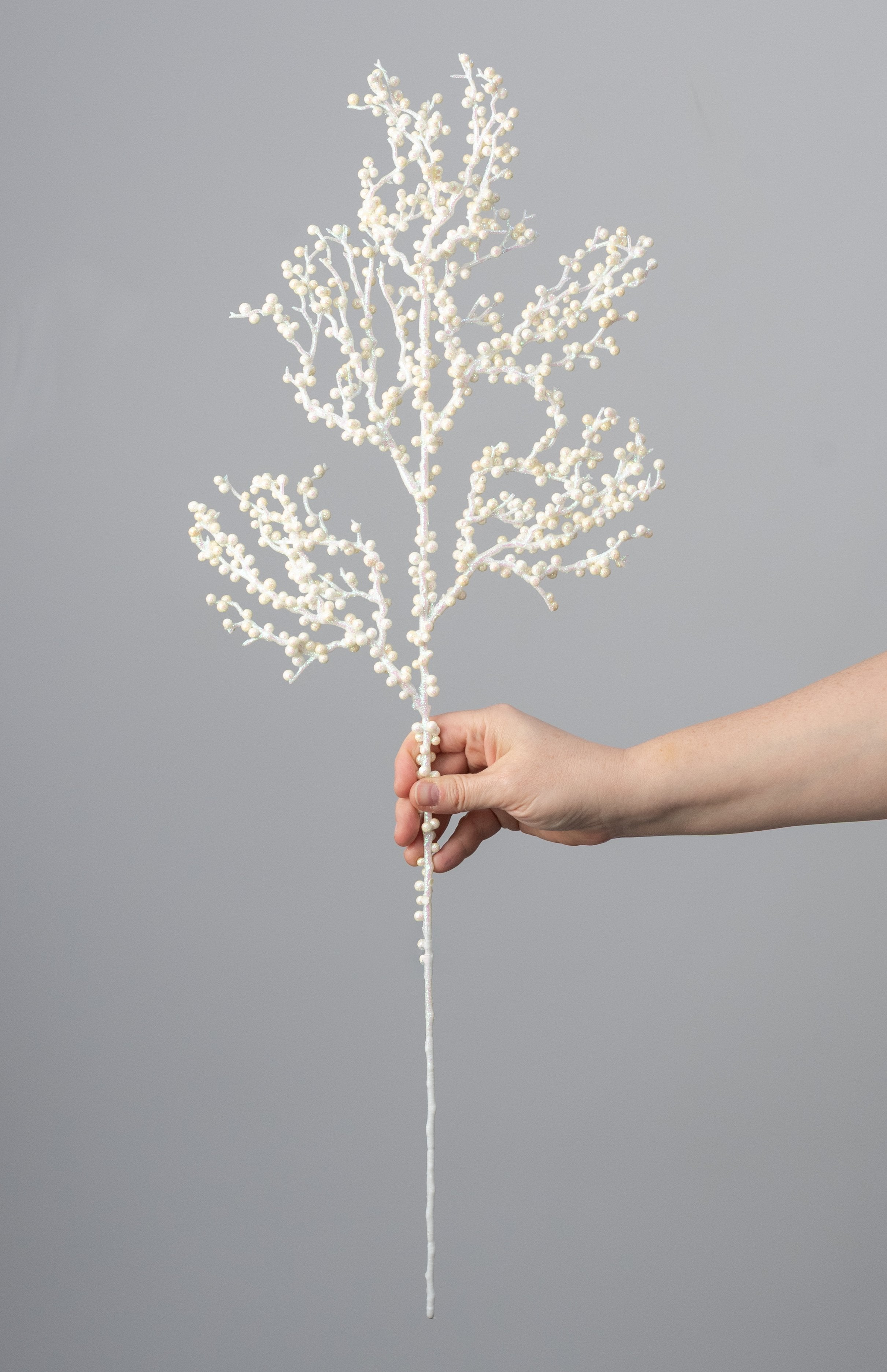 28" Iridescent Coral Twig Spray: Ivory detail photo 3