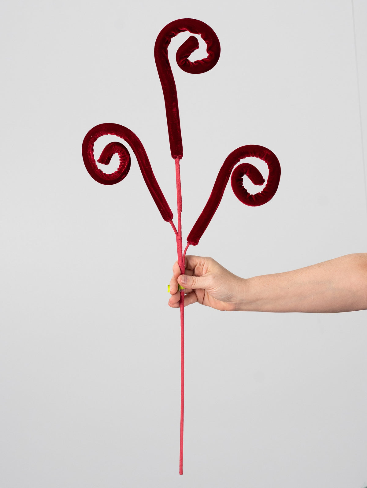 28" Velvet Spiral Curly Spray: Red detail photo 3