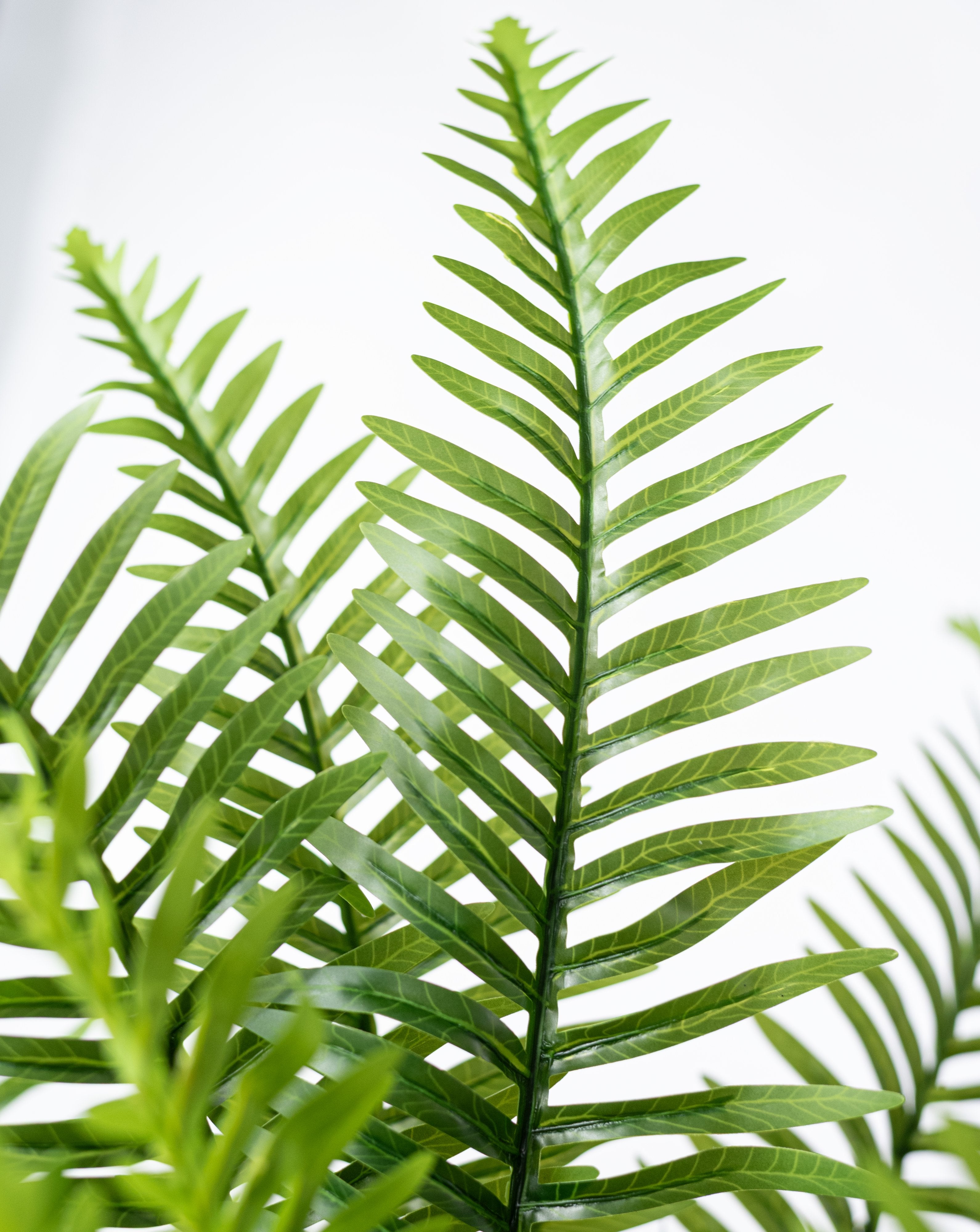 29" Faux Fern Bush: Green (6 Stem) detail photo 4