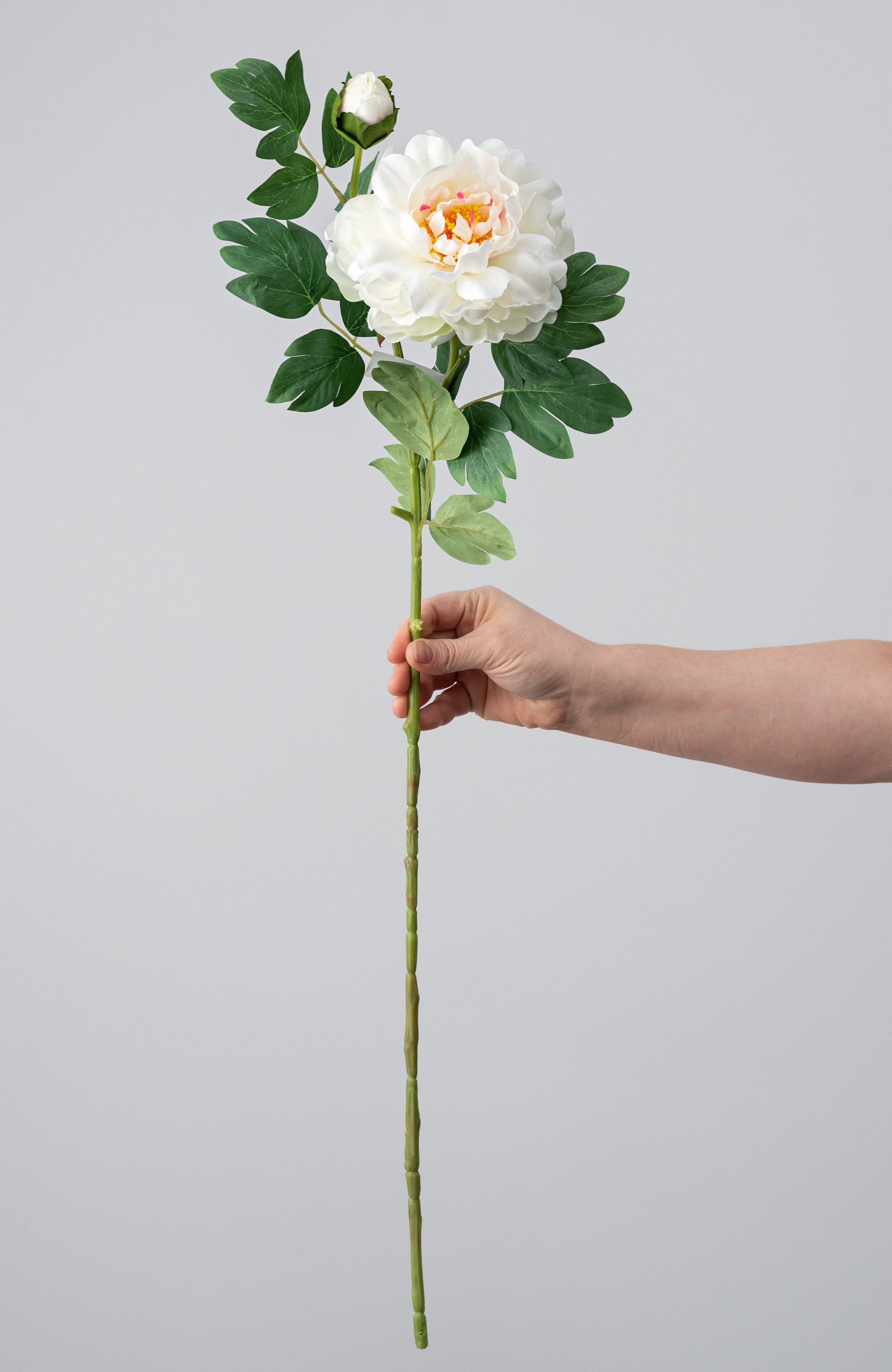 30" Peony Flower & Bud Spray: Cream detail photo 3