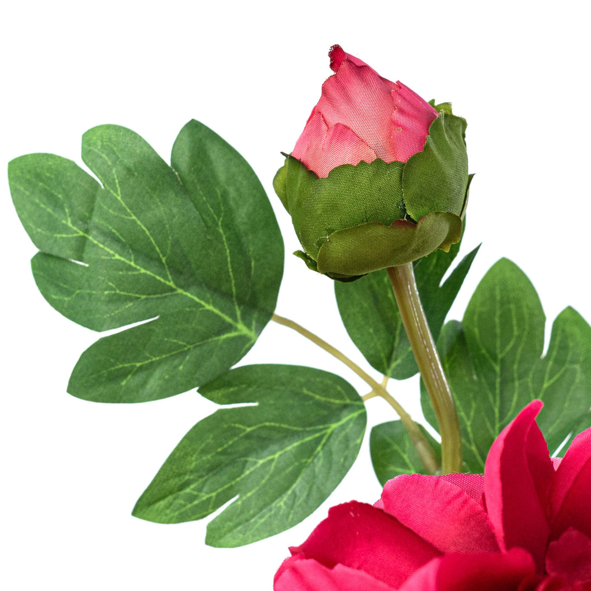 30" Peony Flower & Bud Spray: Fuchsia Pink detail photo 4