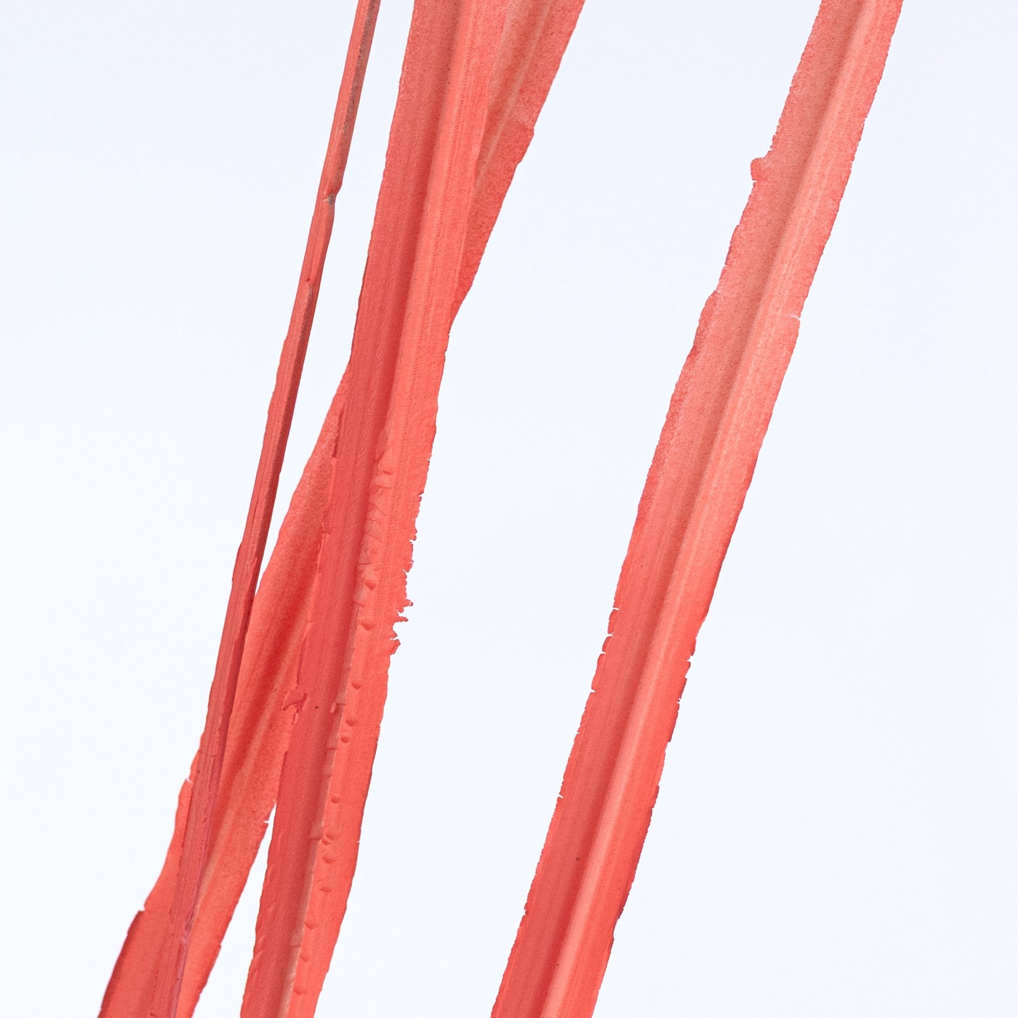 30" Plastic Sword Grass Bush: Coral Lifestyle Photo