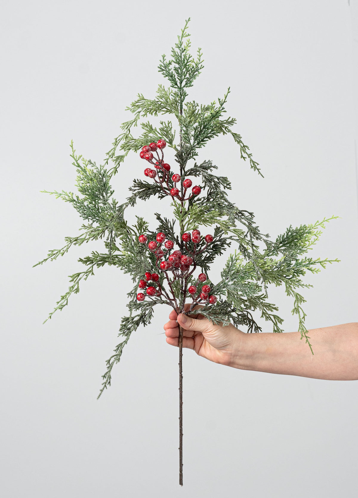 31" Mixed Cedar, Pine & Berry Spray: Red & Green detail photo 3