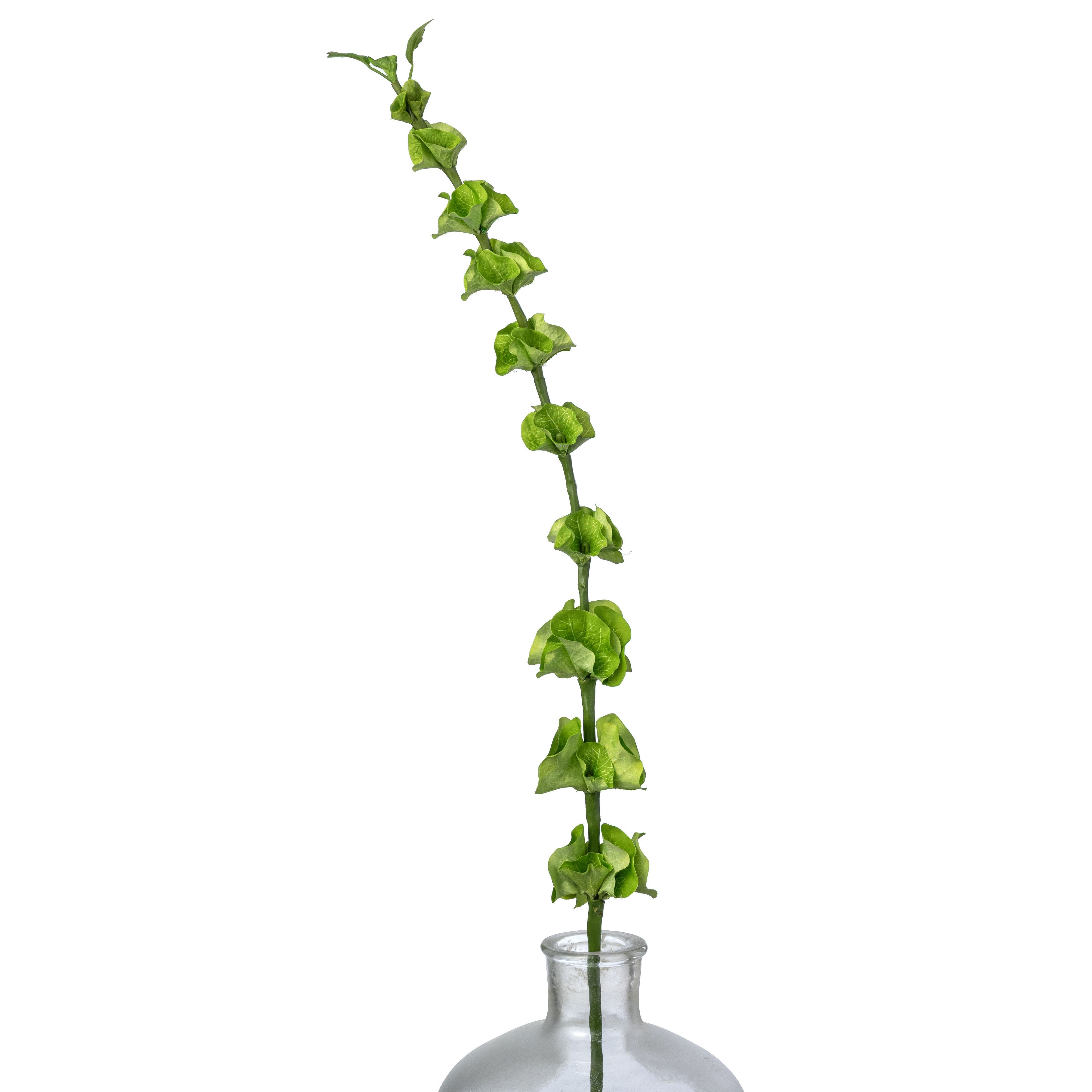 32" Artificial Bells of Ireland Spray: Light Green Item Number: 263809LG