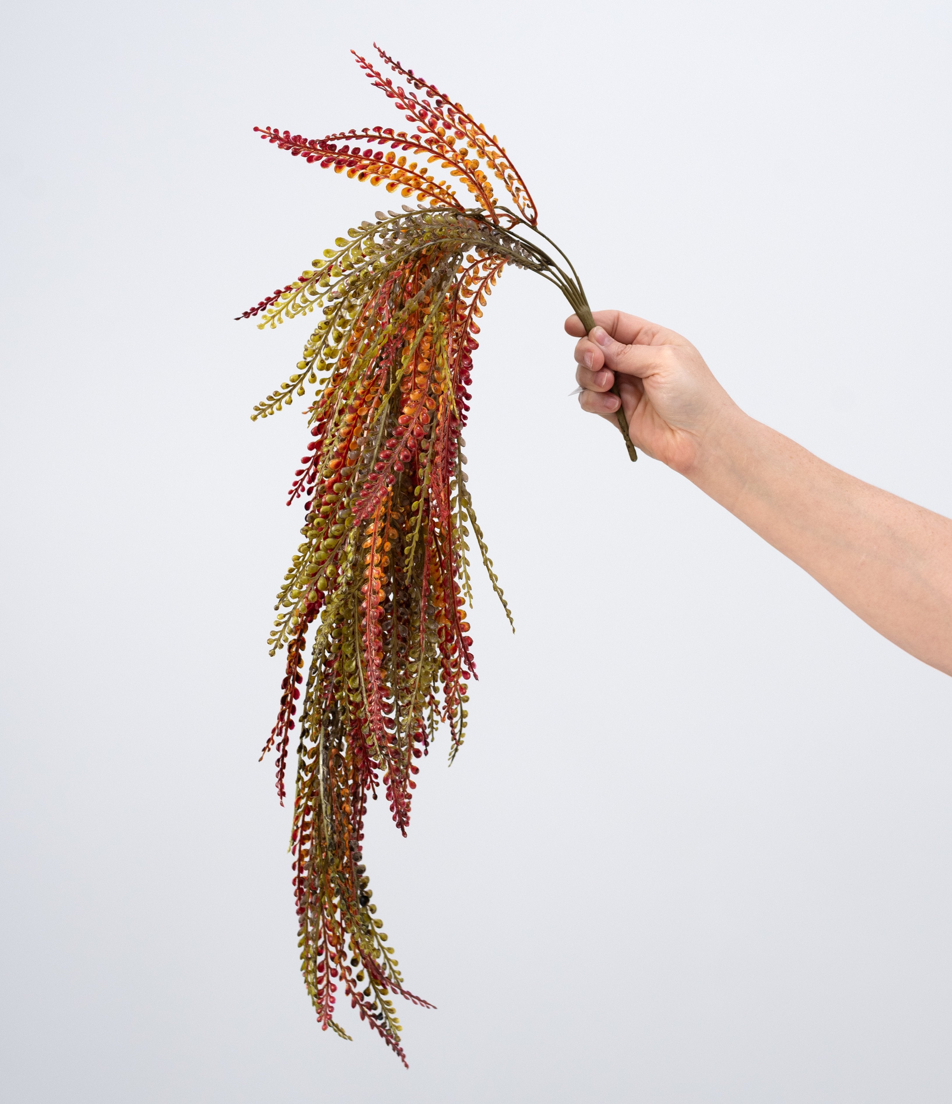 32" BUDGET Button Fern Hanging Bush: Fall Mix (5 Stem) detail photo 3