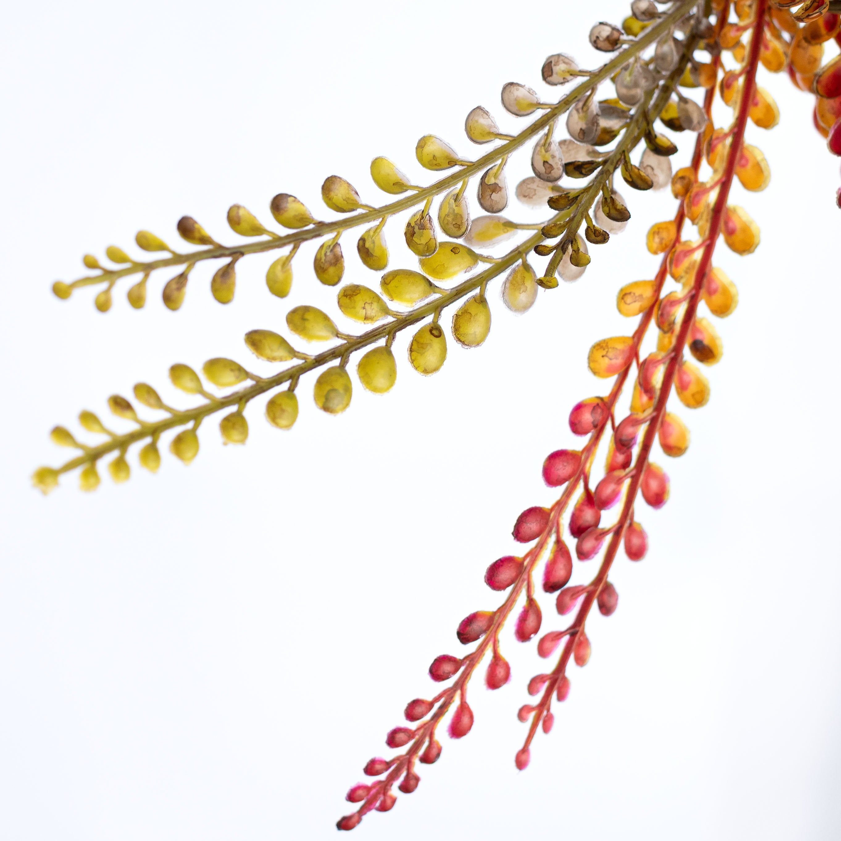 32" BUDGET Button Fern Hanging Bush: Fall Mix (5 Stem) detail photo 4