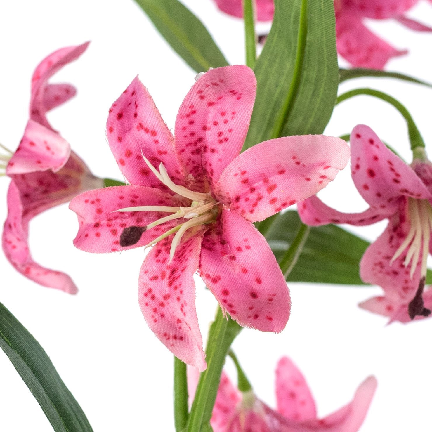 32" Cap Lily Stem: Fuchsia Pink Lifestyle Photo