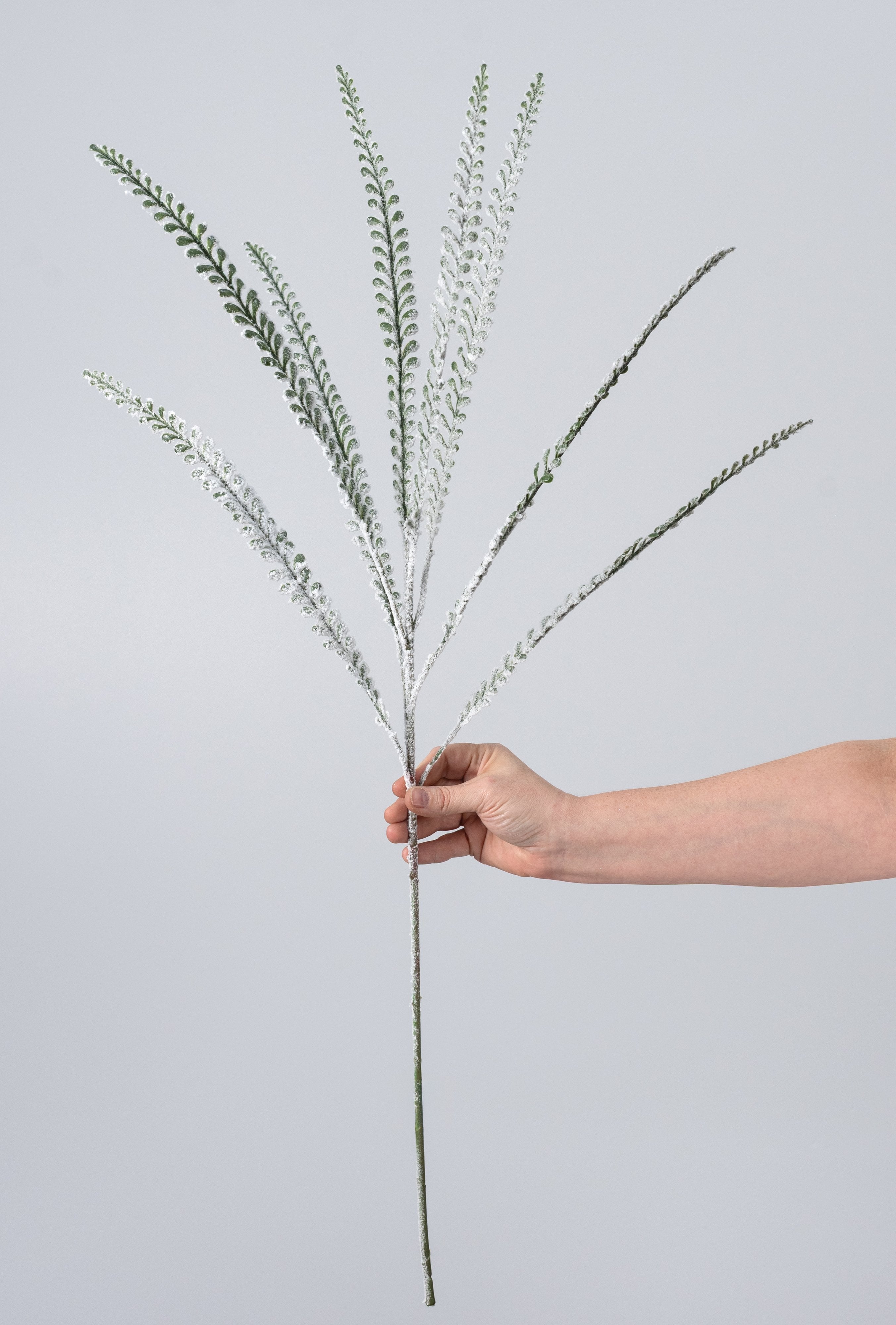 33" Plastic Button Fern Leaves Spray: Flocked Snow Green detail photo 3