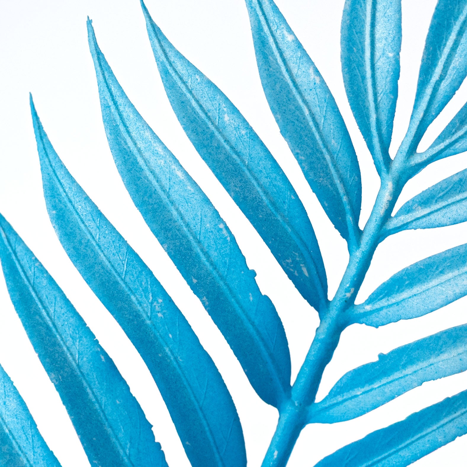 34" Plastic Palm Leaf Spray: Bright Blue Lifestyle Photo