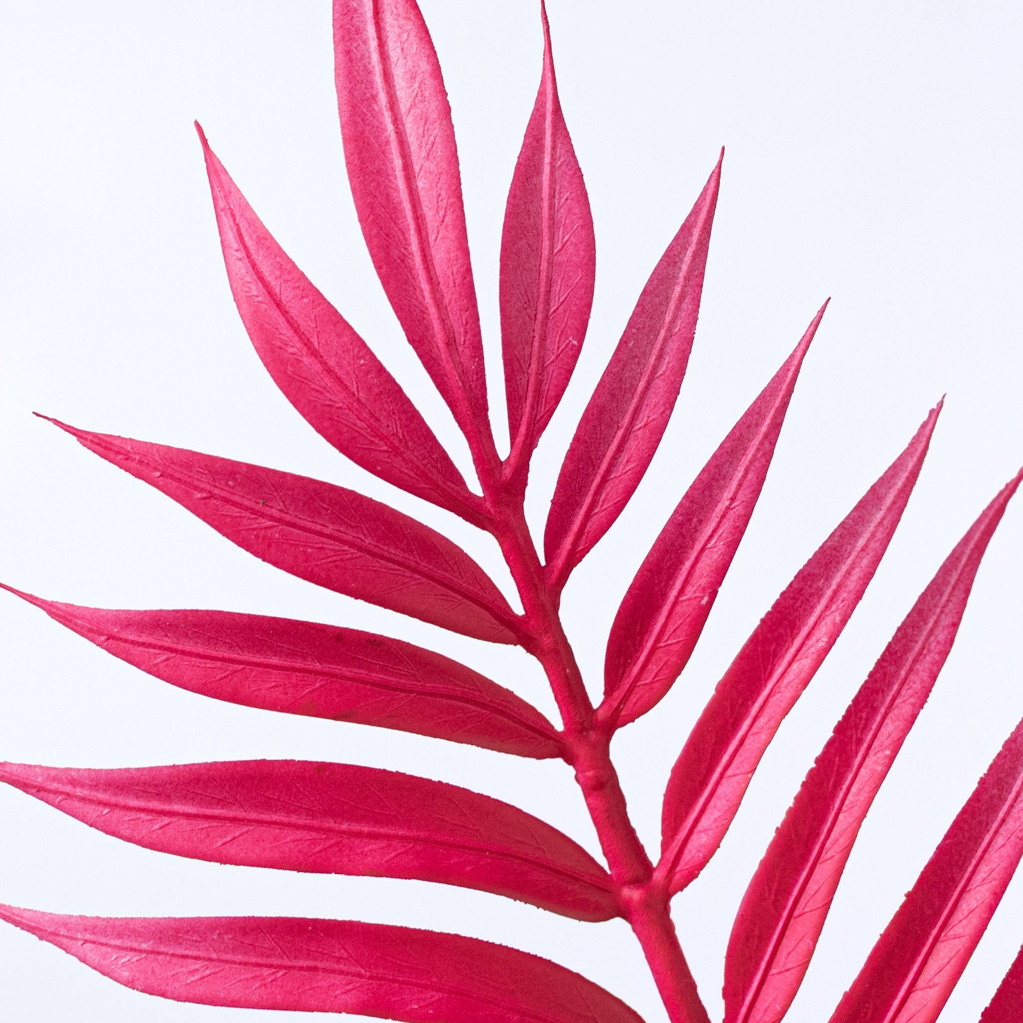 34" Plastic Palm Leaf Spray: Hot Pink Lifestyle Photo