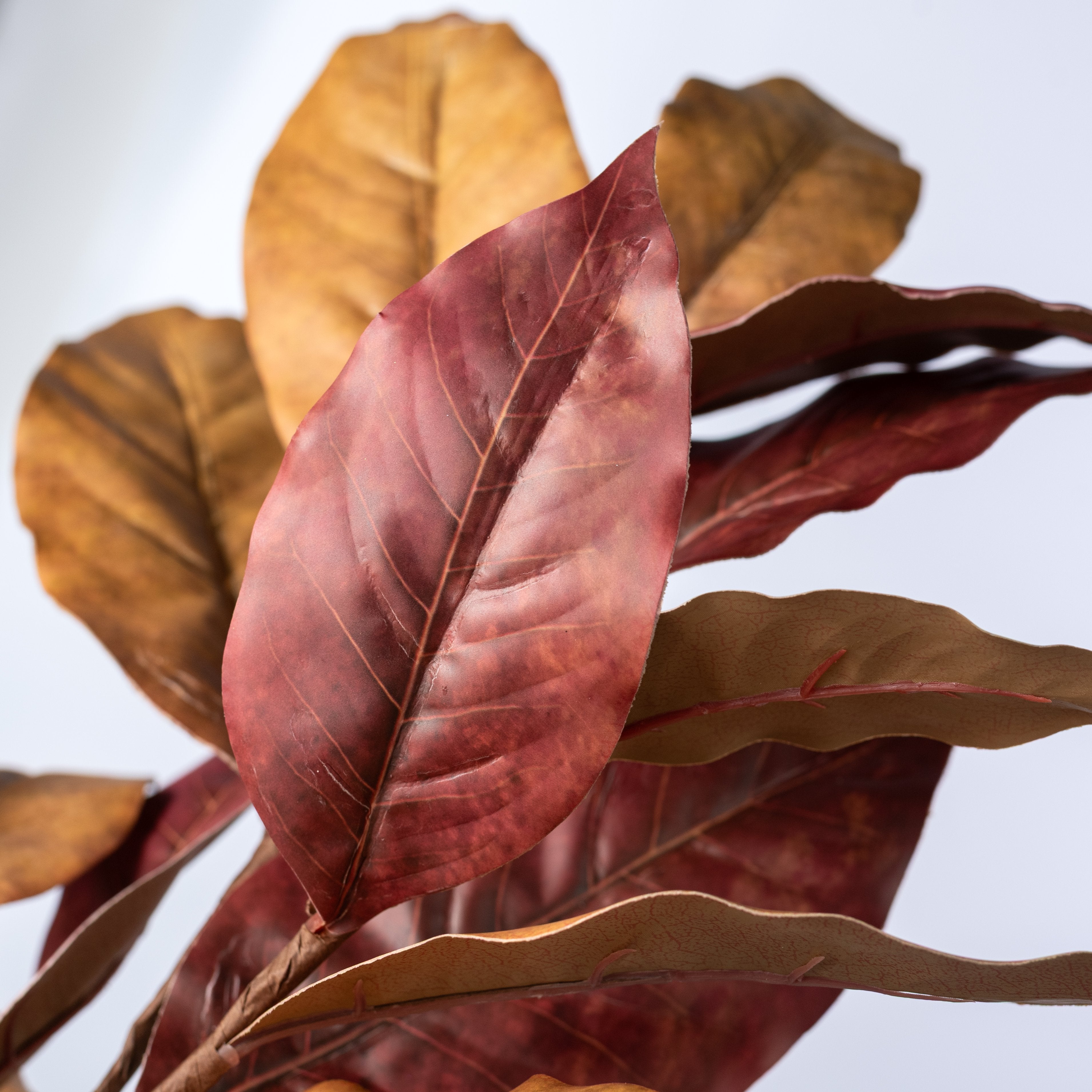 35" Magnolia Leaf Branch: Rust Brown Lifestyle Photo