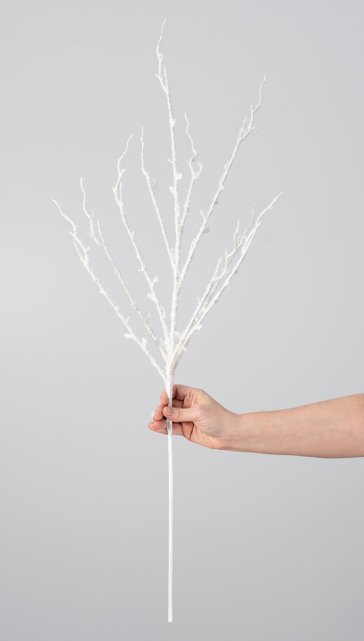 36" Snowy Glittered Branch: Flocked White detail photo 3