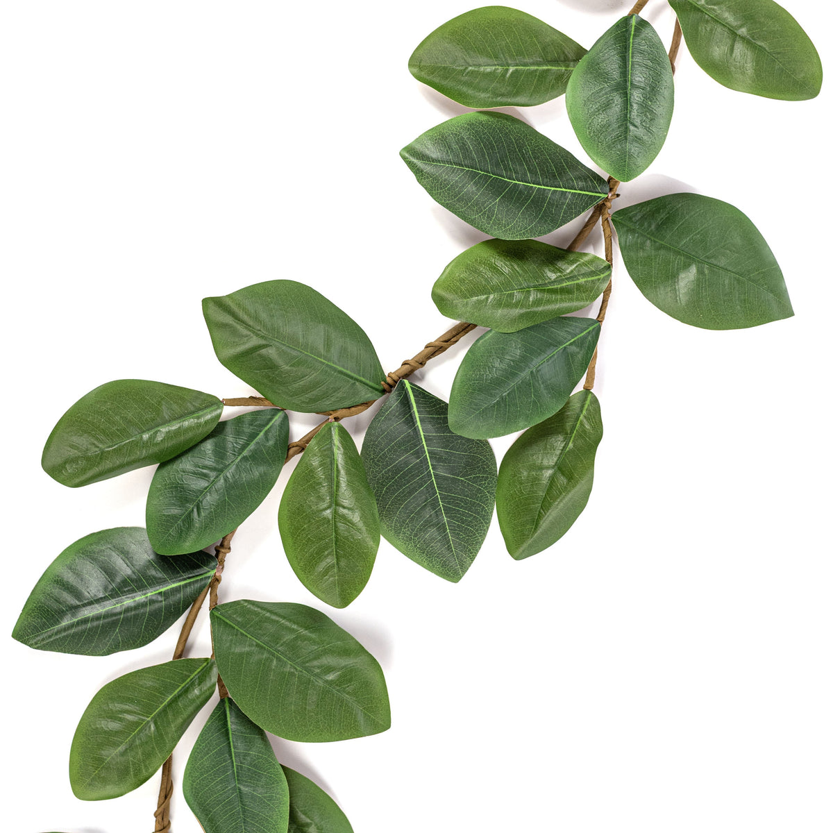 48" Sweetbay Magnolia Leaves Garland Item Number: 30351