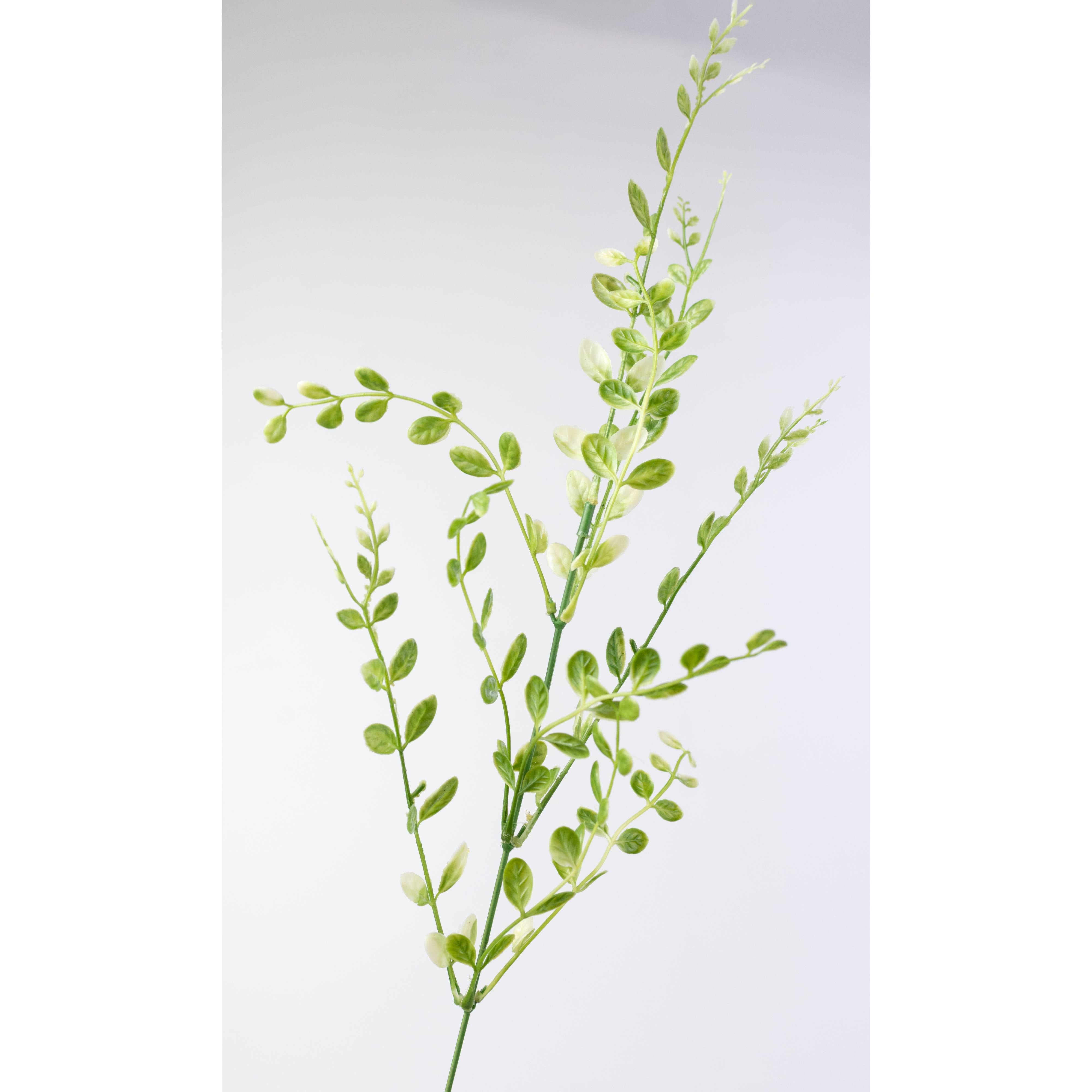 22" Plastic Boxwood Bush: Variegated Green