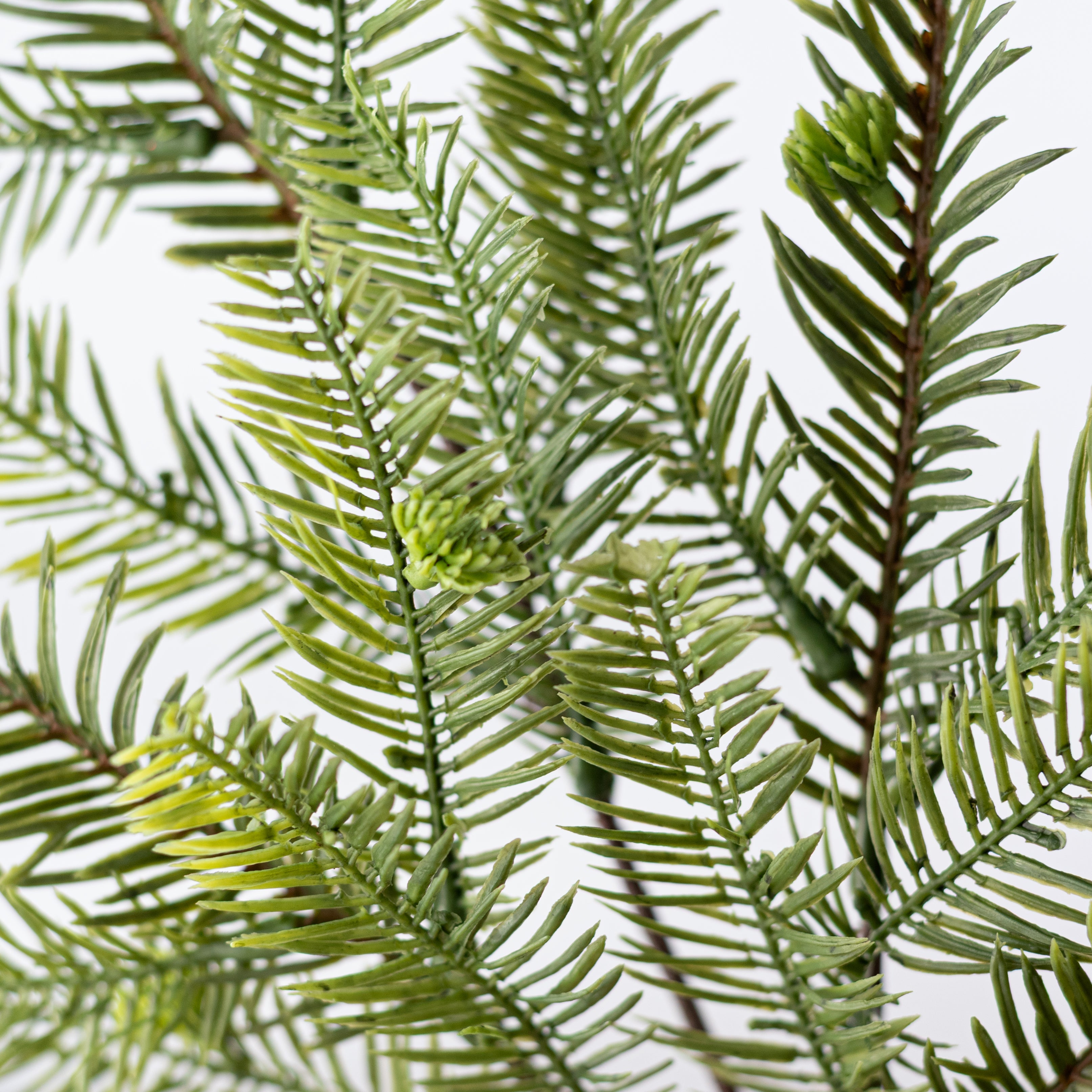 17" Hemlock Pine Spray