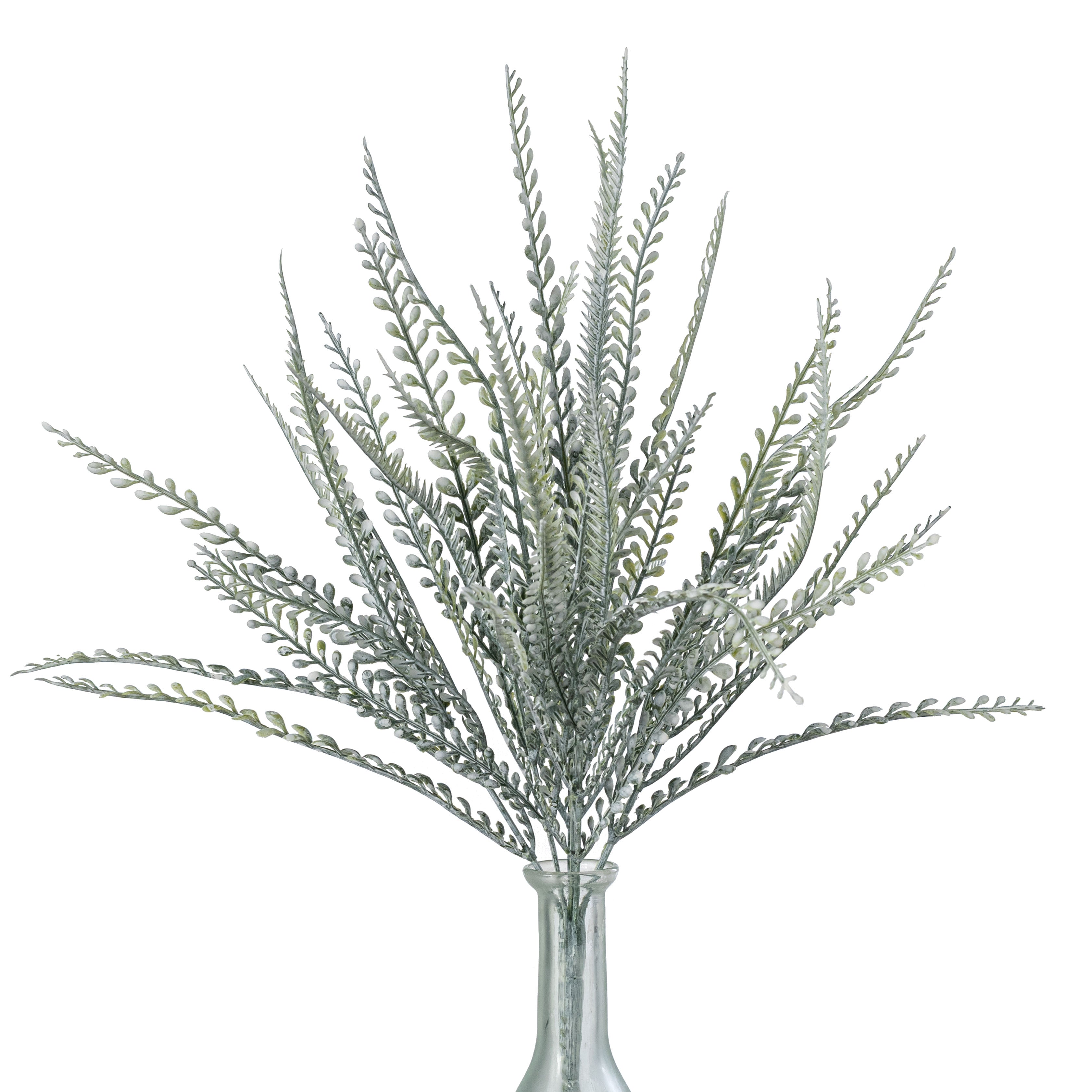 17" Button Sword Fern Bush: White Wash Green