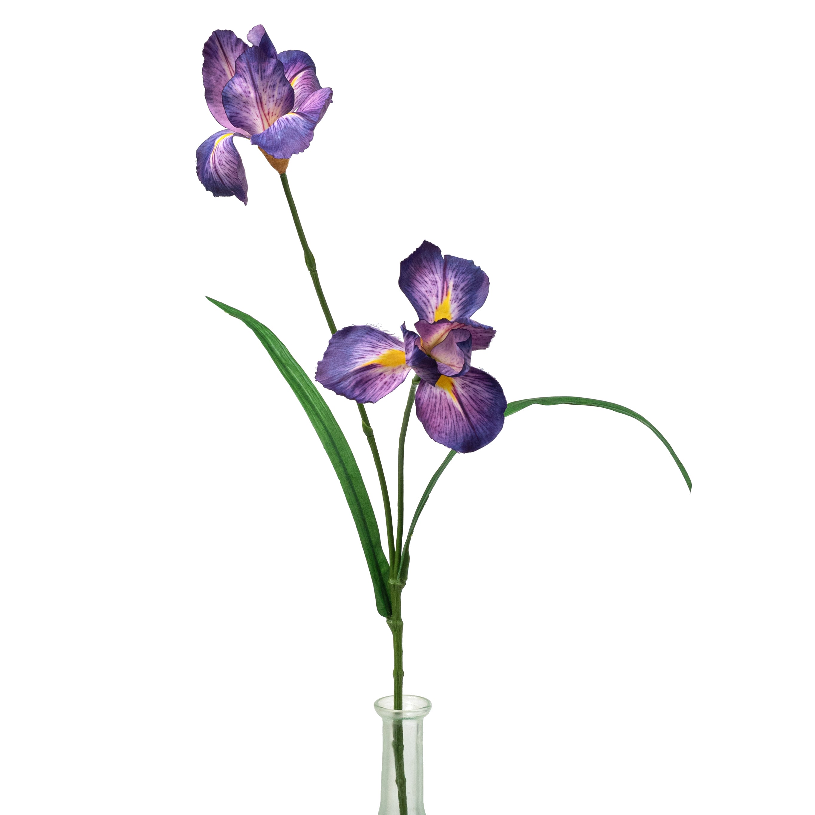 22" Wild Iris Spray: Purple