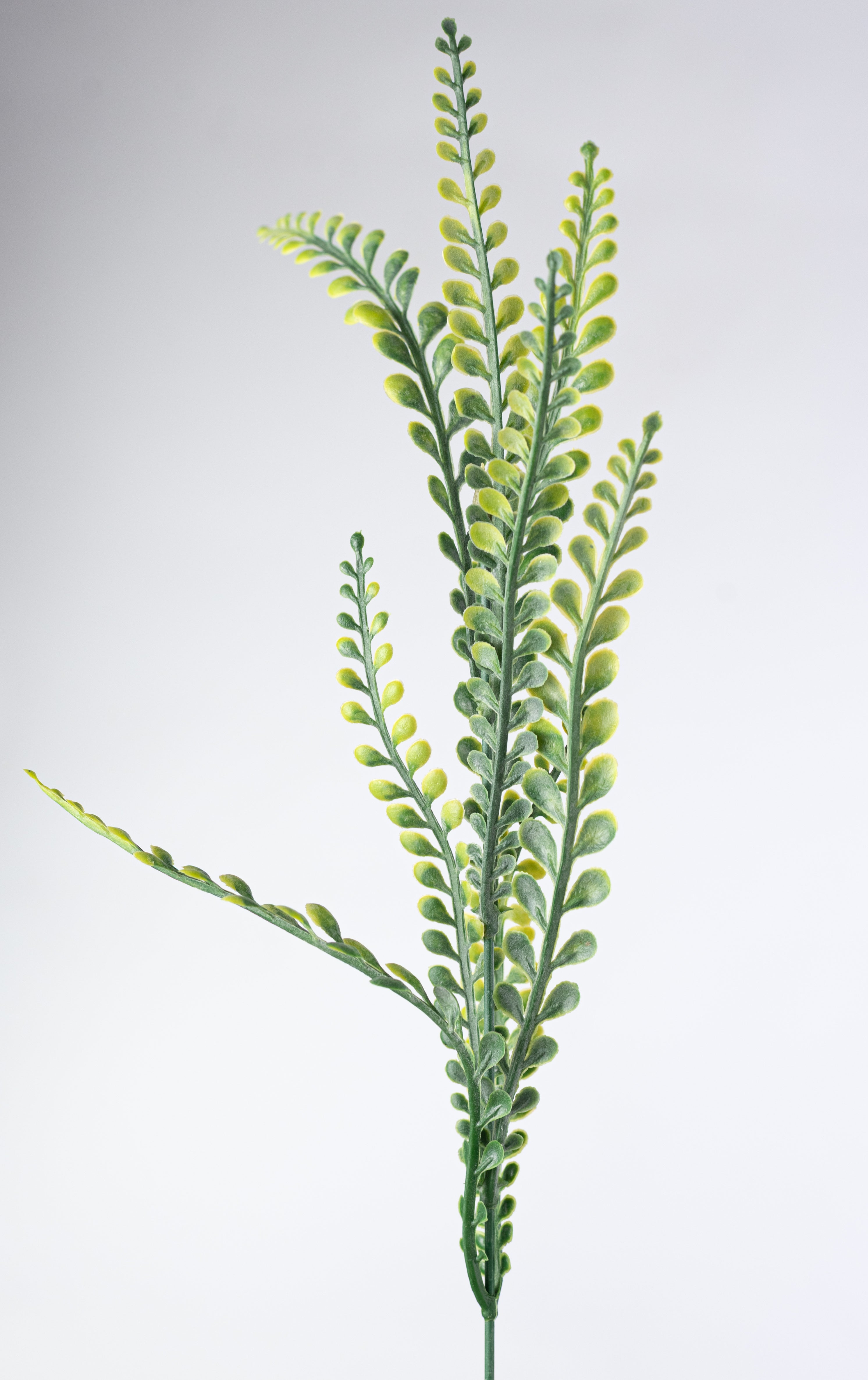21" Plastic Button Fern Bush