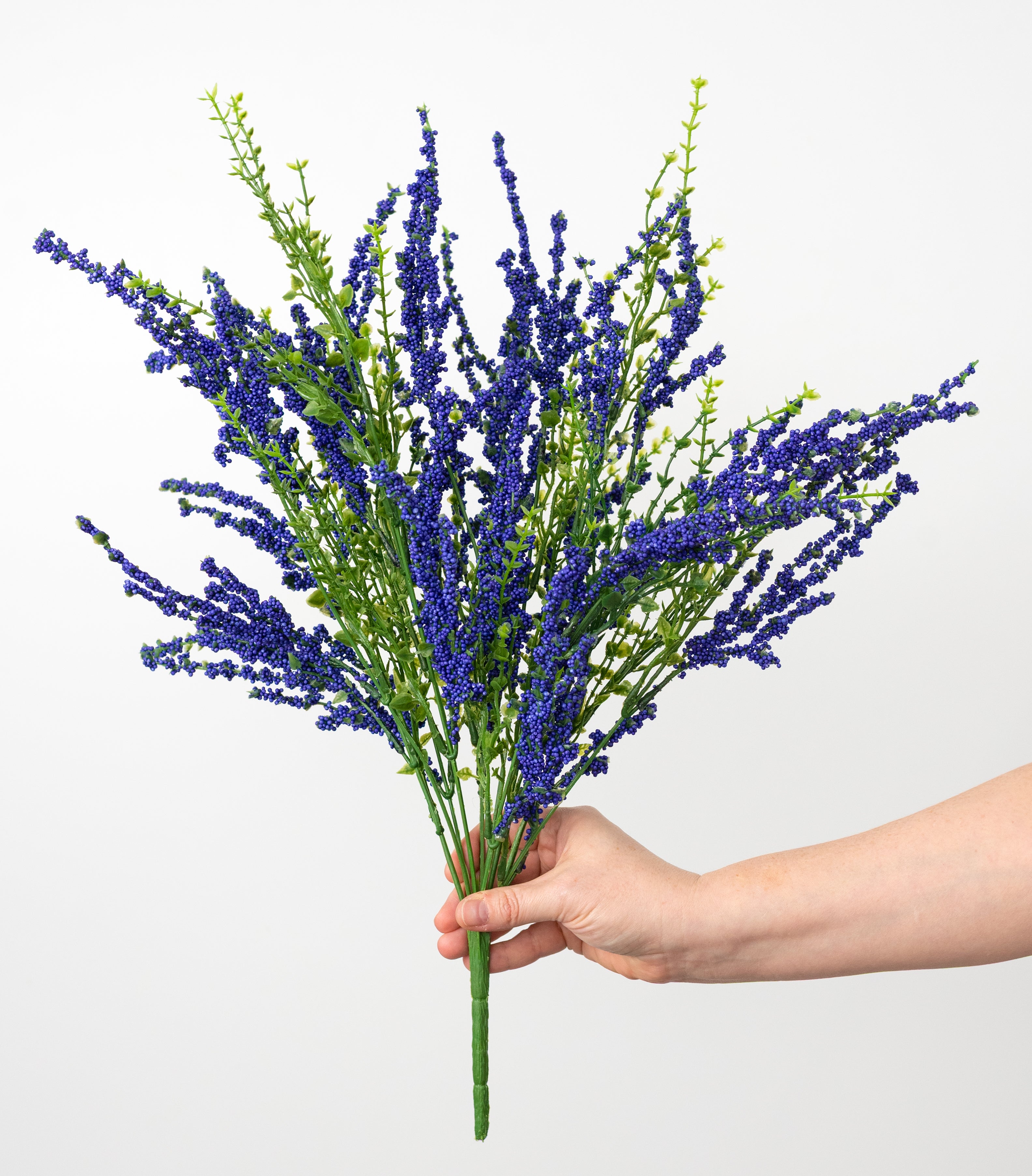 21" Erica Bush Seeded Heather: Indigo Blue (12 Stem)