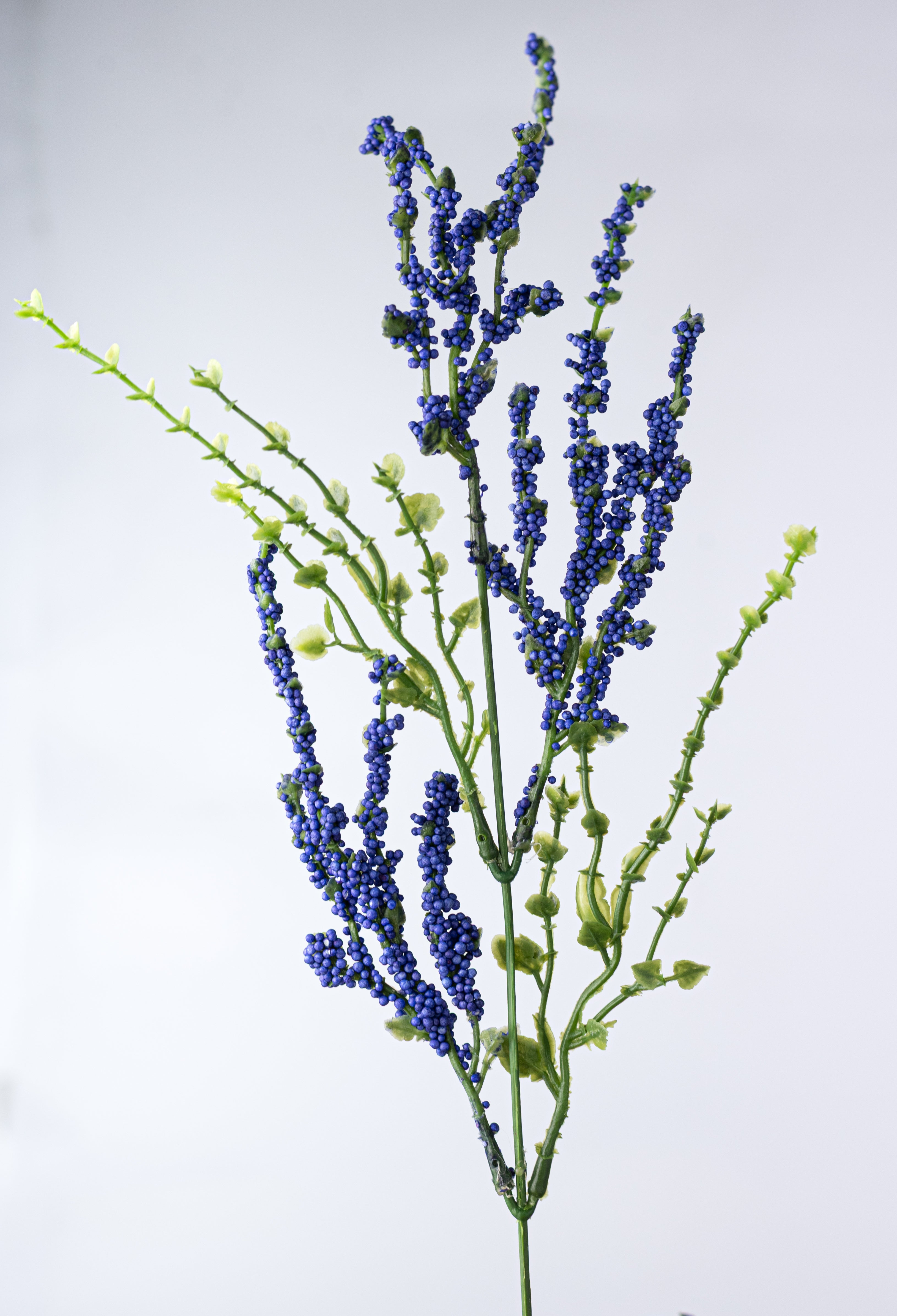 21" Erica Bush Seeded Heather: Indigo Blue (12 Stem)
