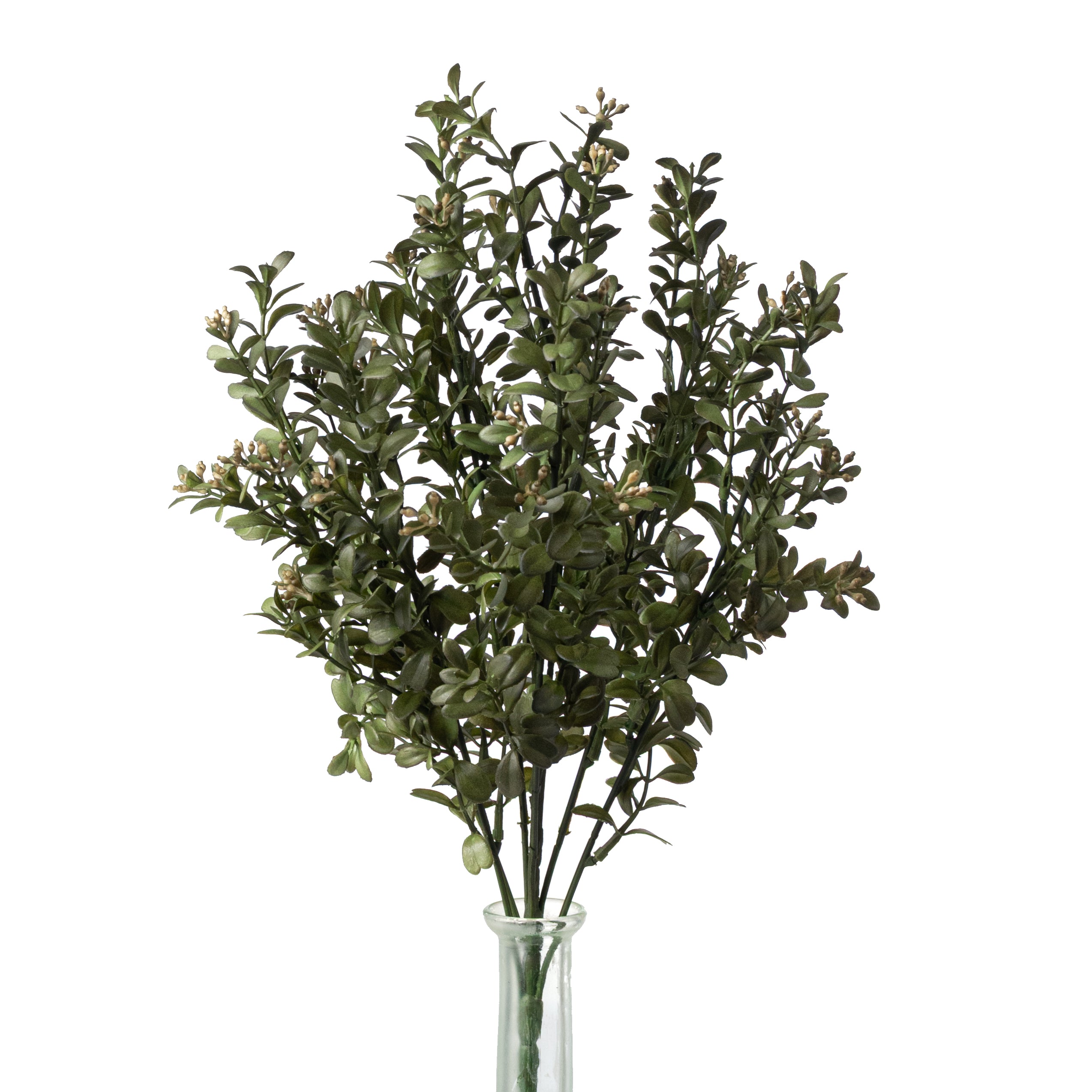 17" Mini Boxwood Bush