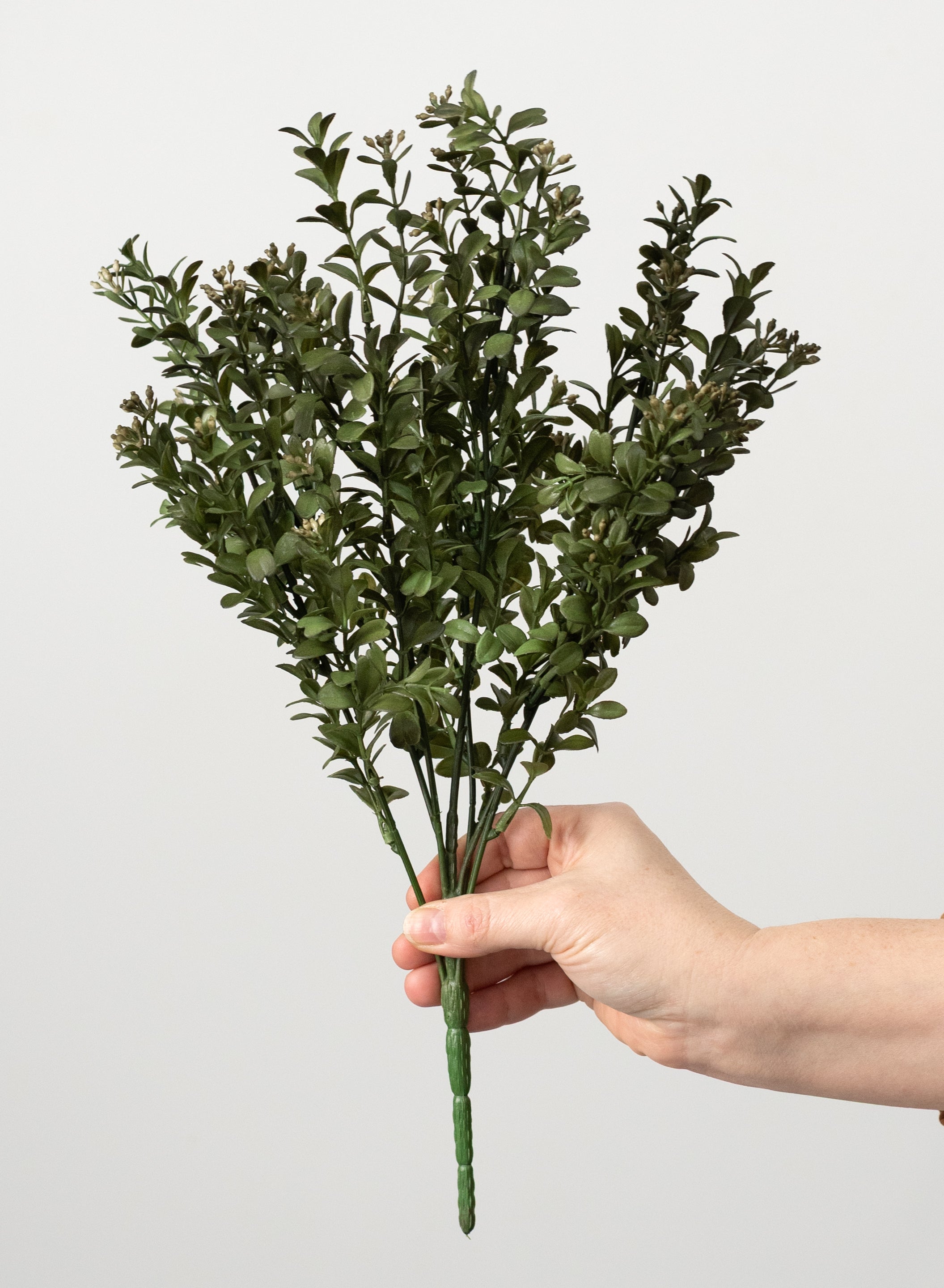 17" Mini Boxwood Bush