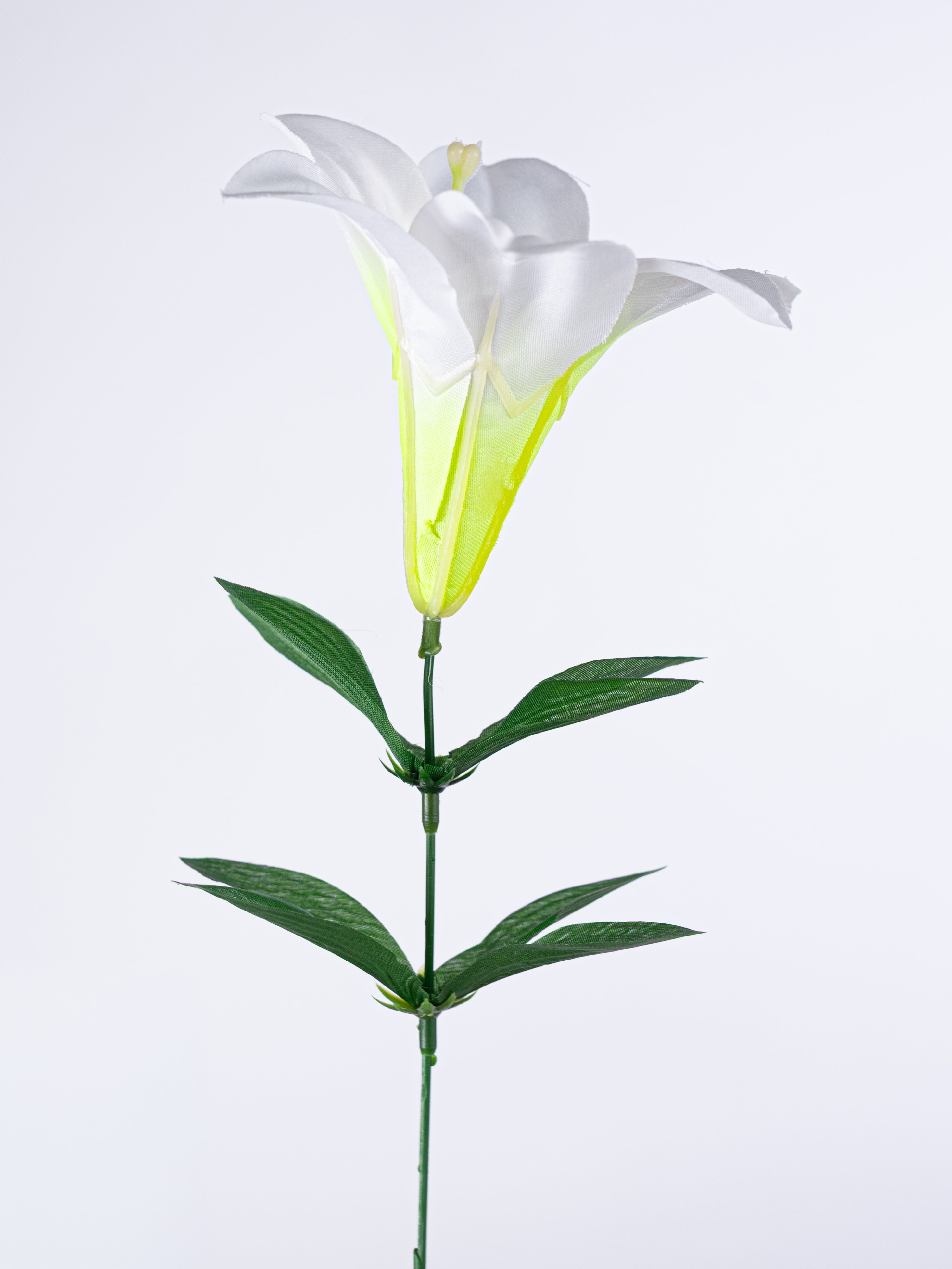 15" Easter Lily Bush (6)
