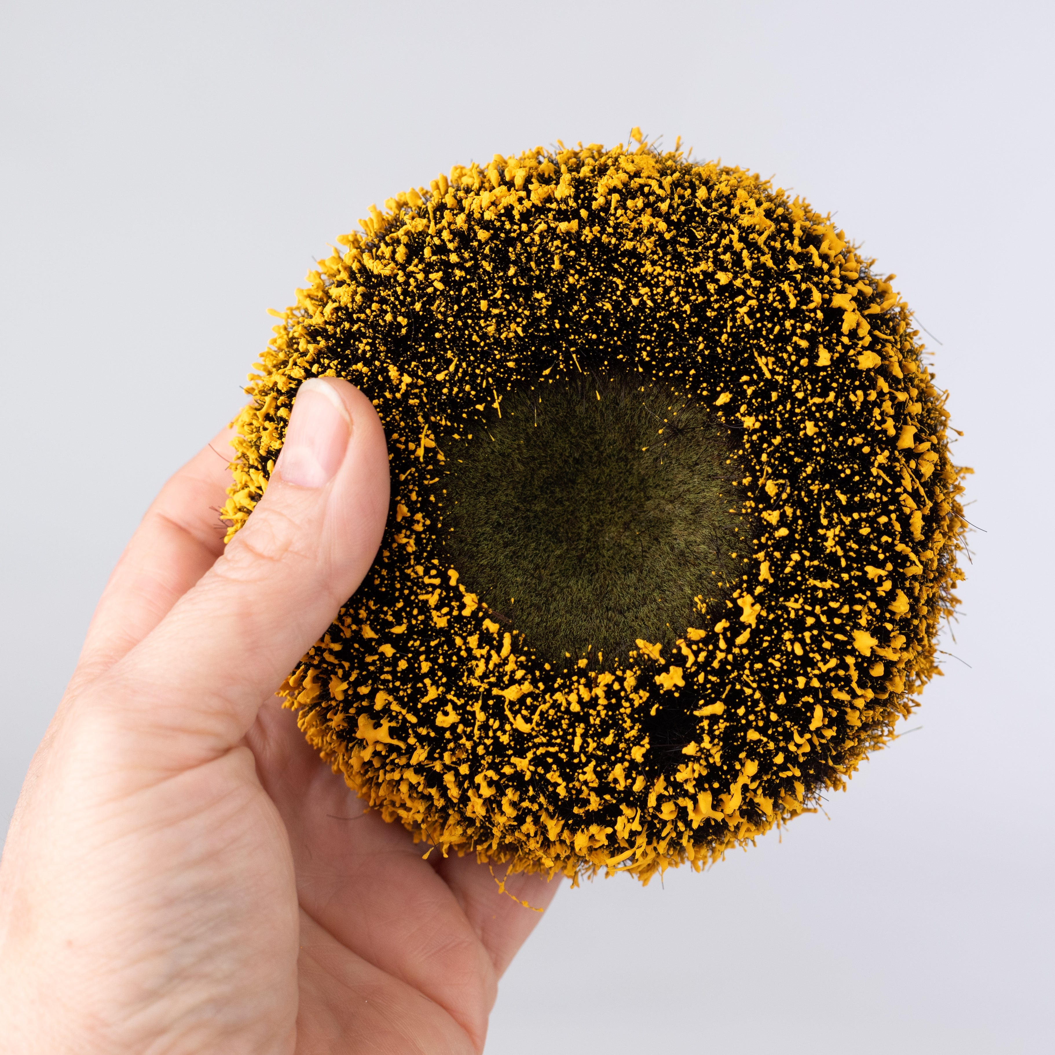 4.25" Sunflower Center: Natural