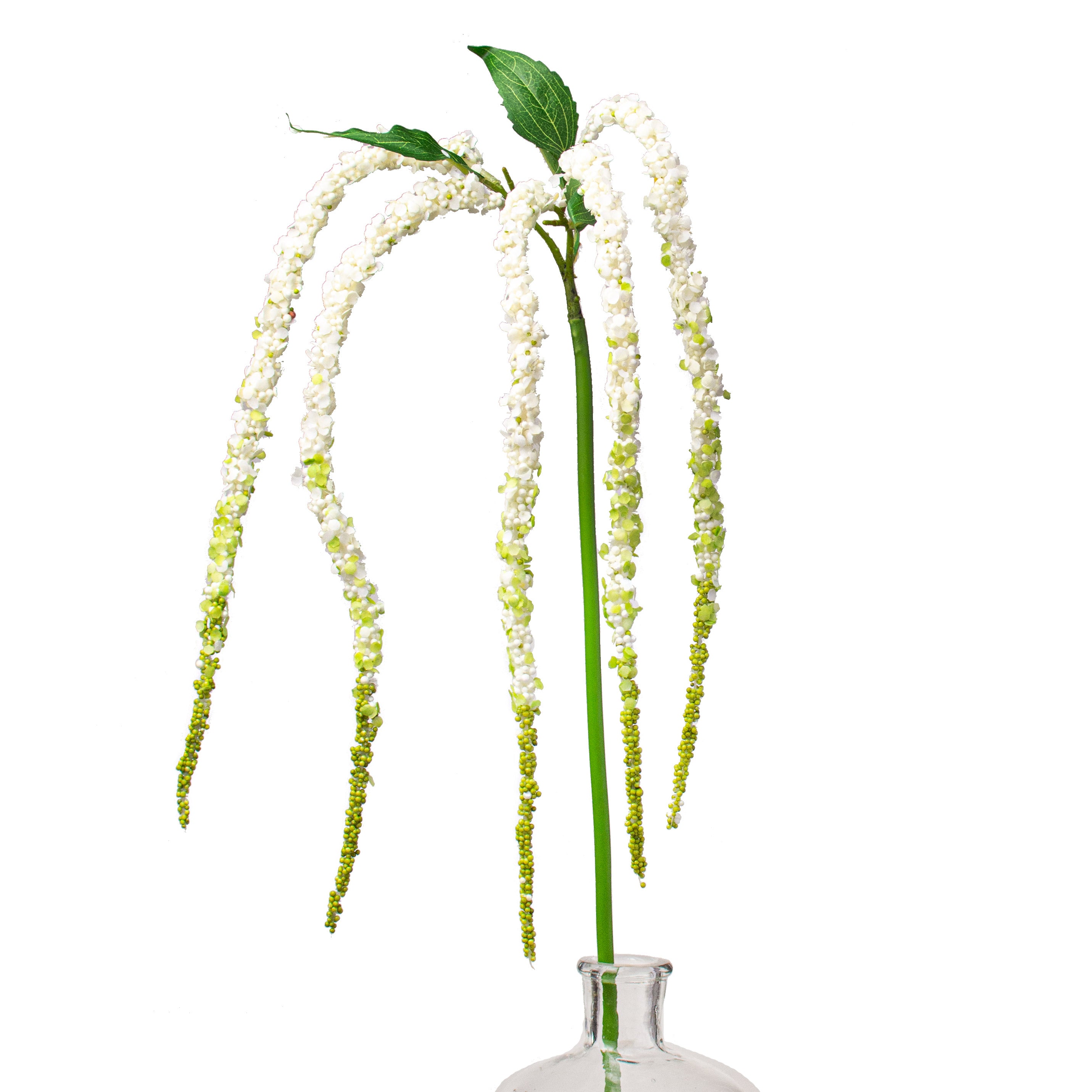 hanging amaranthus plant 38" Amaranthus Hanging Spray: Cream