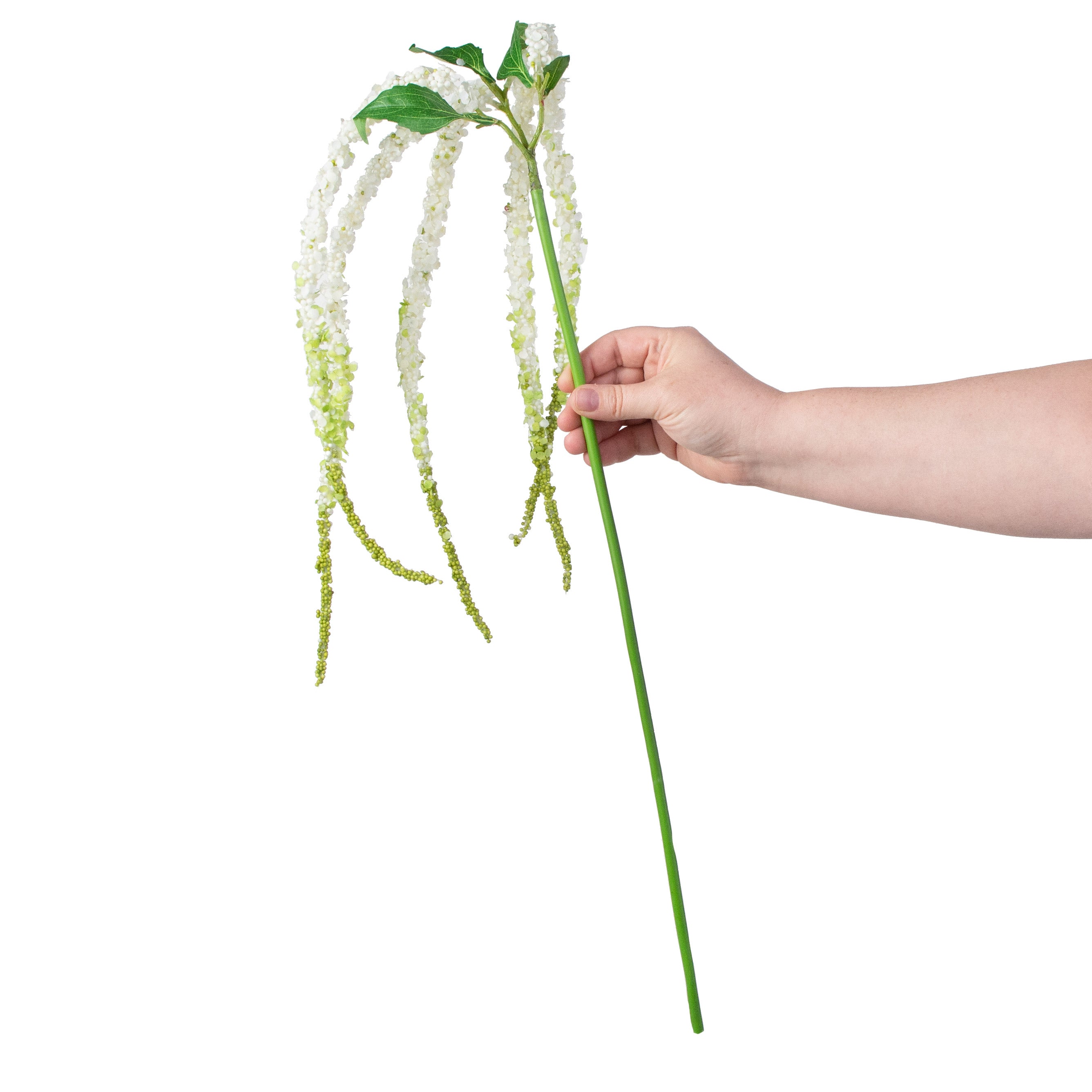 38" Amaranthus Hanging Spray: Cream detail photo 3