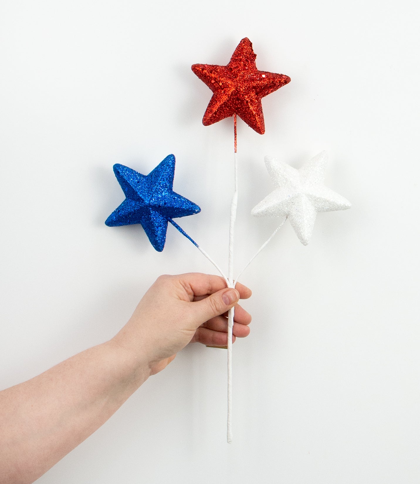15" American Stars Spray: Red, White & Blue Lifestyle Photo