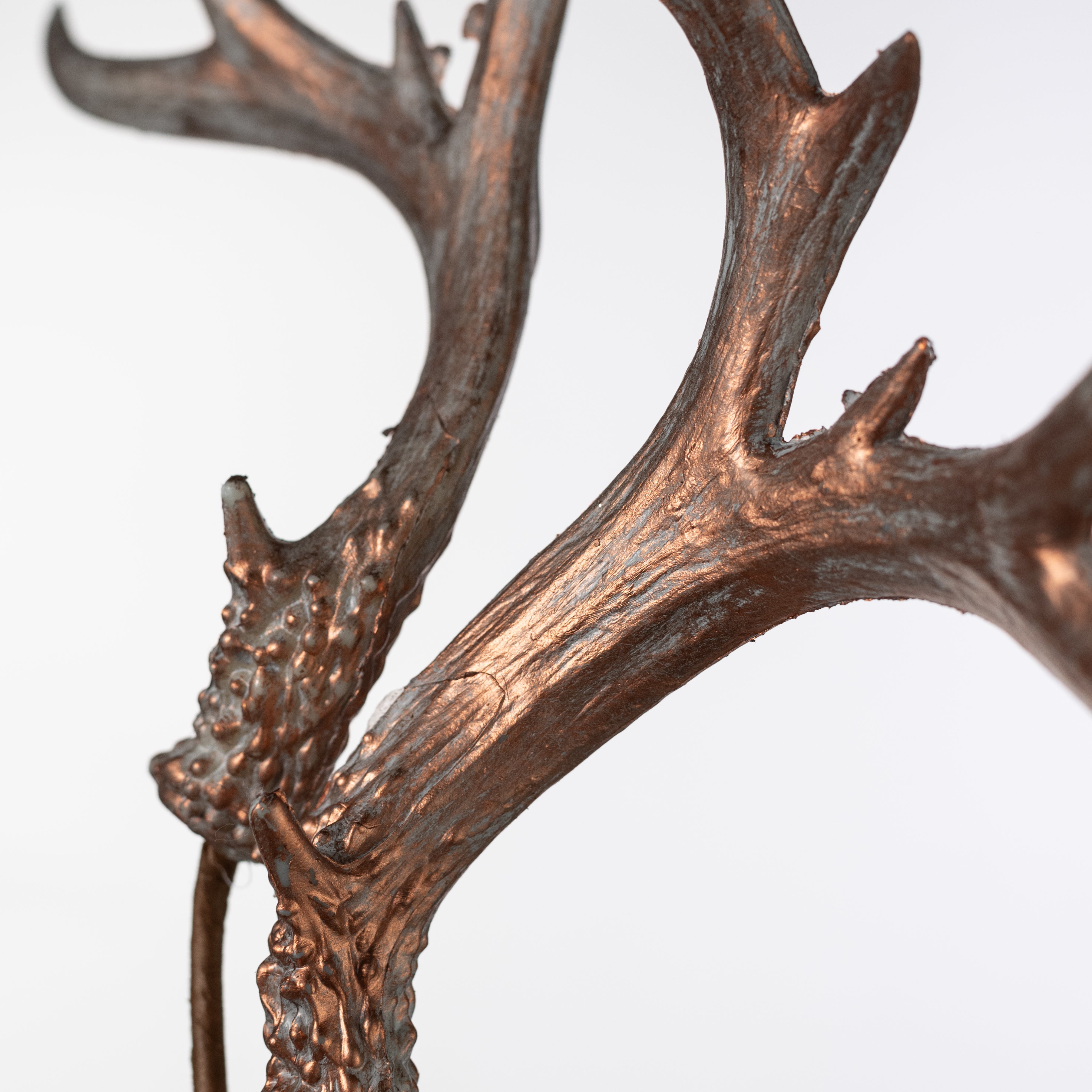 25" Antler Spray: Antiqued Bronze Lifestyle Photo