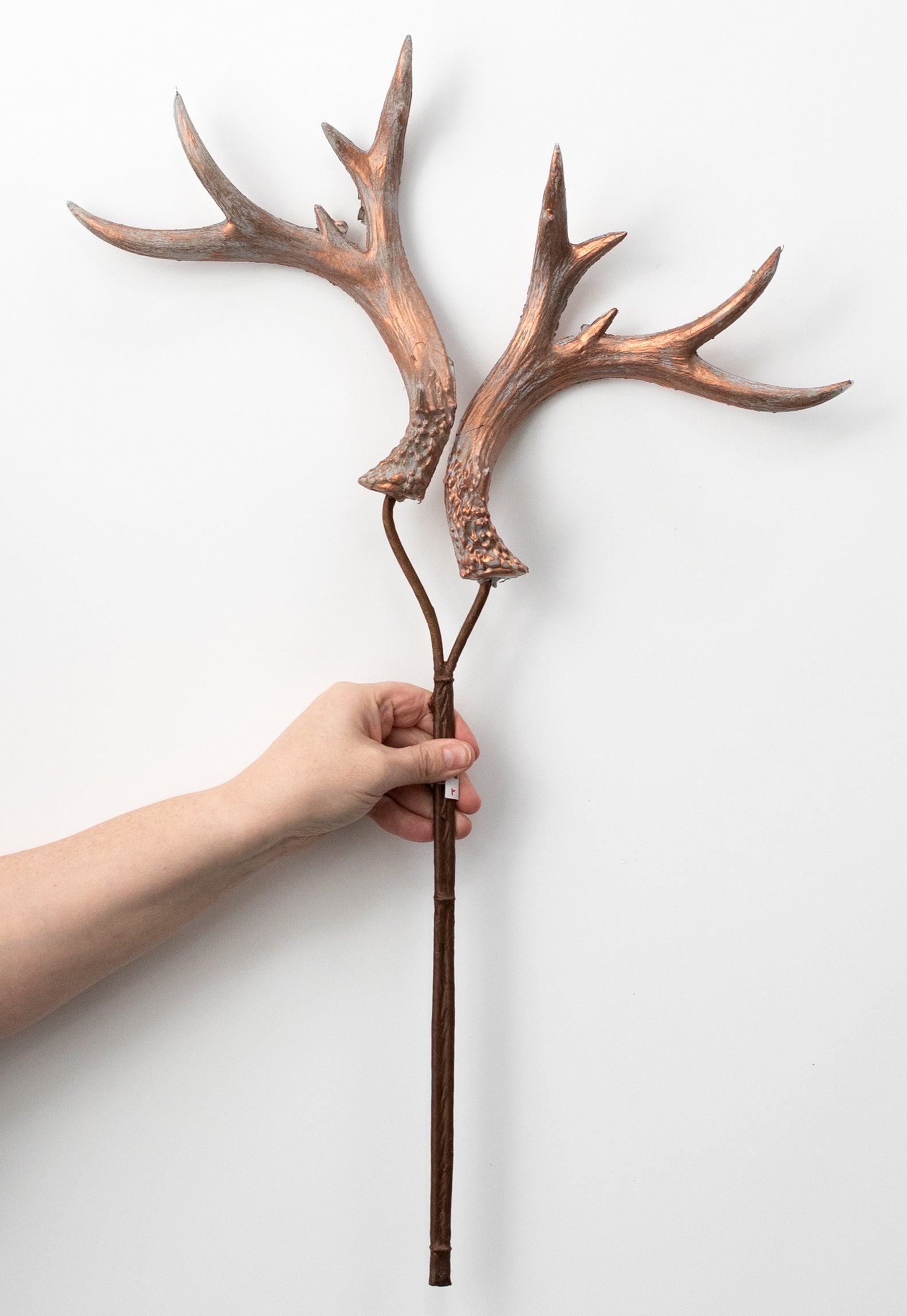 25" Antler Spray: Antiqued Bronze detail photo 3