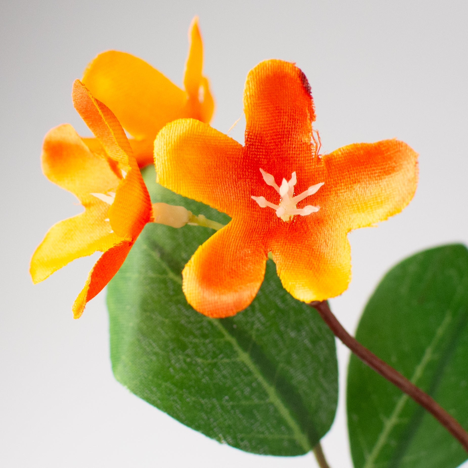 31" Apple Blossom Leaves Spray: Orange detail photo 4