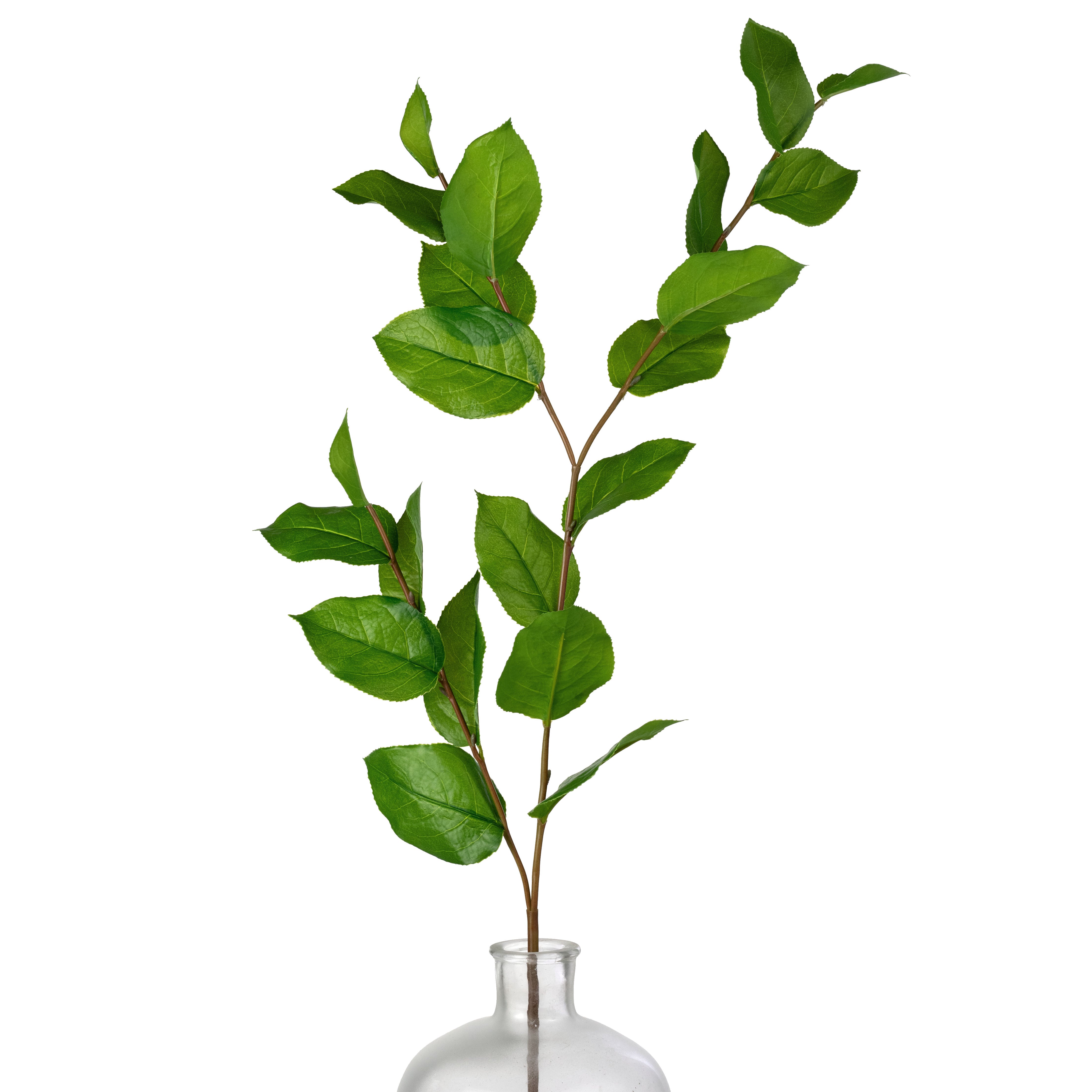 45" Artificial Salal Leaves (Lemon Leaf) Spray Item Number: 2310204GR