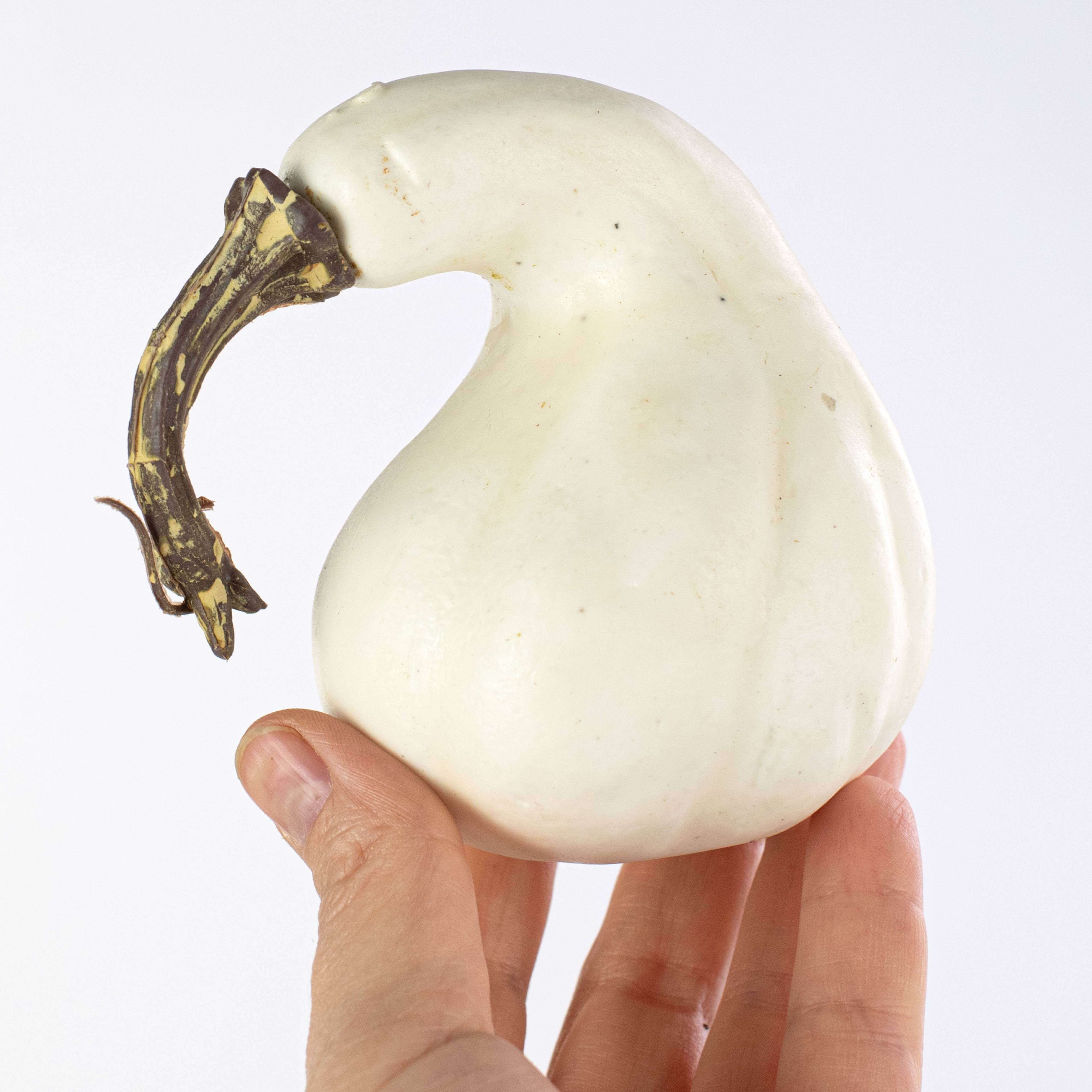 Assorted Medium Artificial Pumpkins & Gourds: White / Cream (Bag of 8) detail photo 5