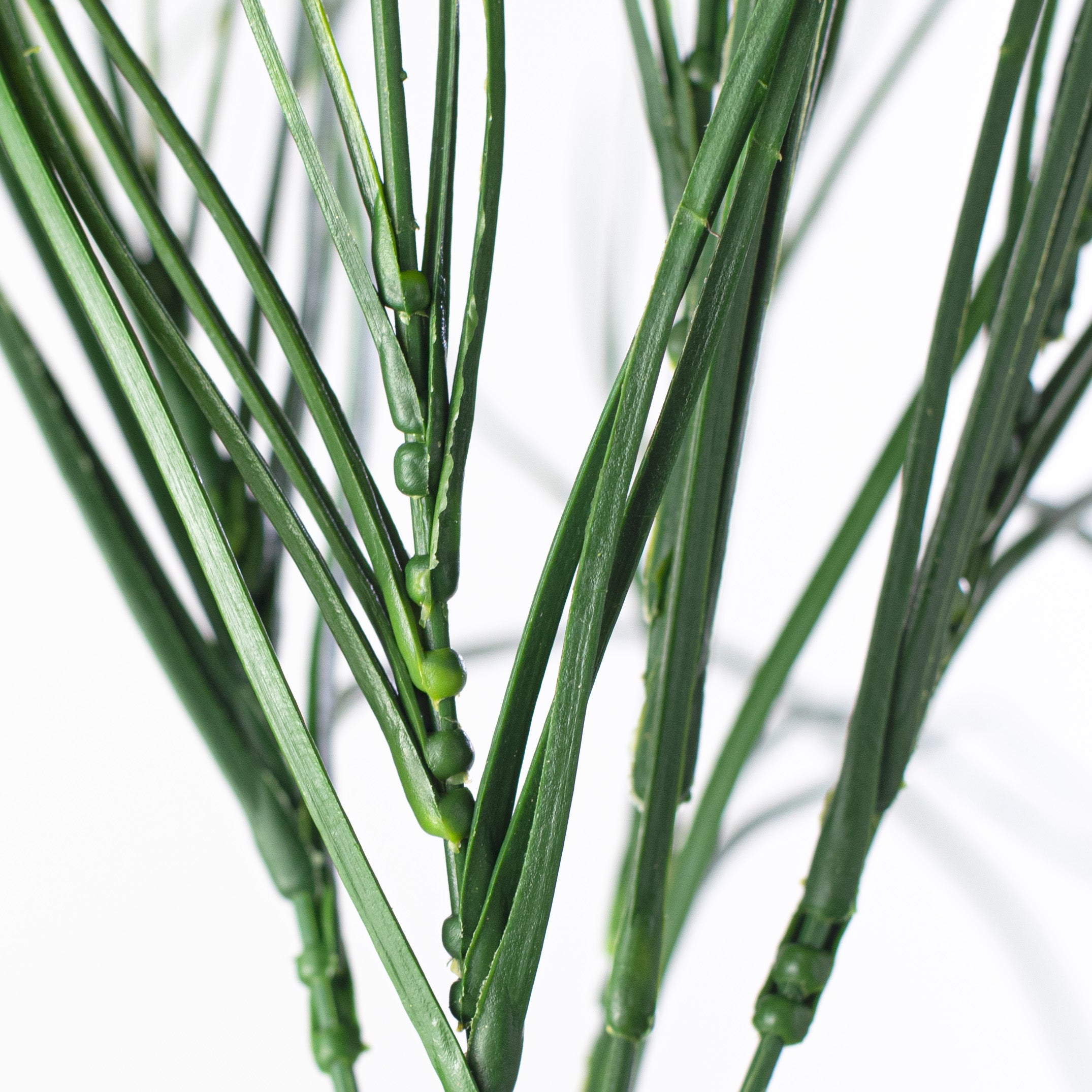 20" Bear Grass Bush detail photo 4