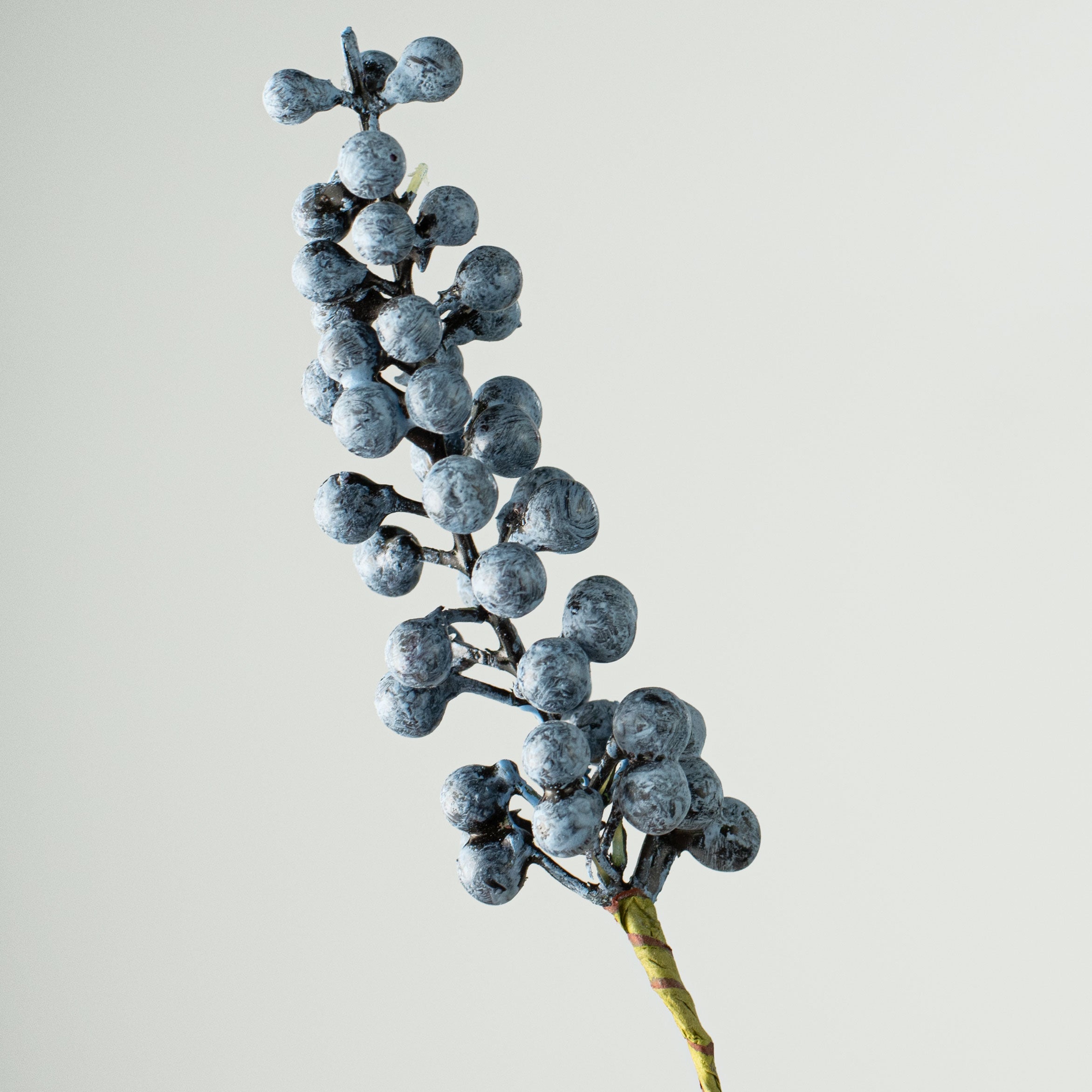 8.5'' Berry Bundle: Blue (12) Lifestyle Photo