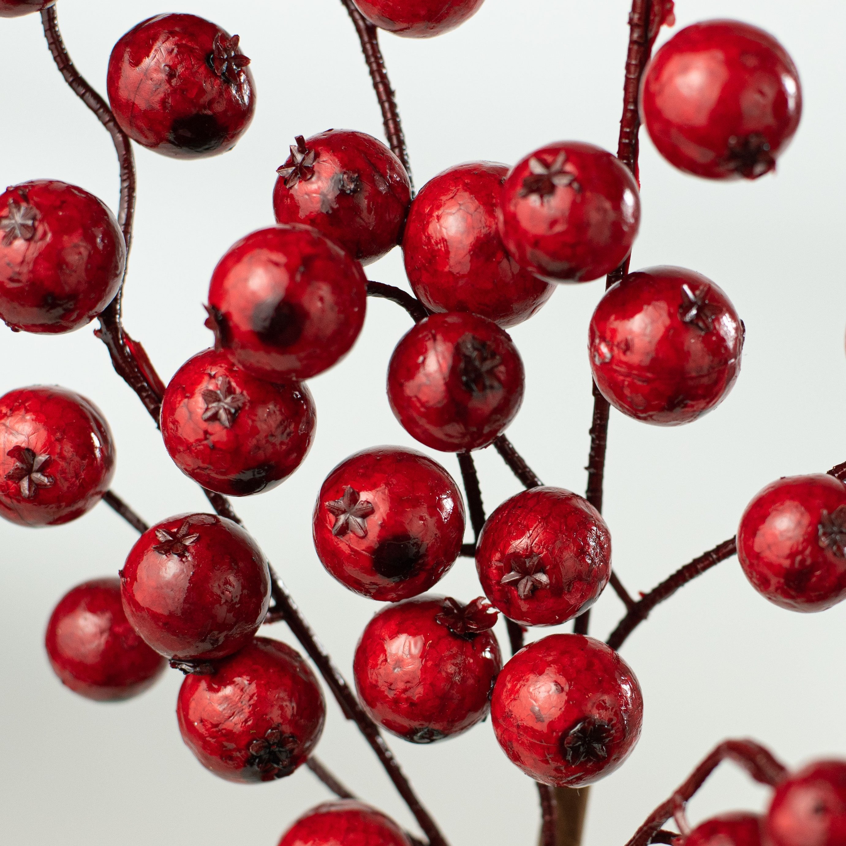 17" Berry Pick: Shiny Red Lifestyle Photo