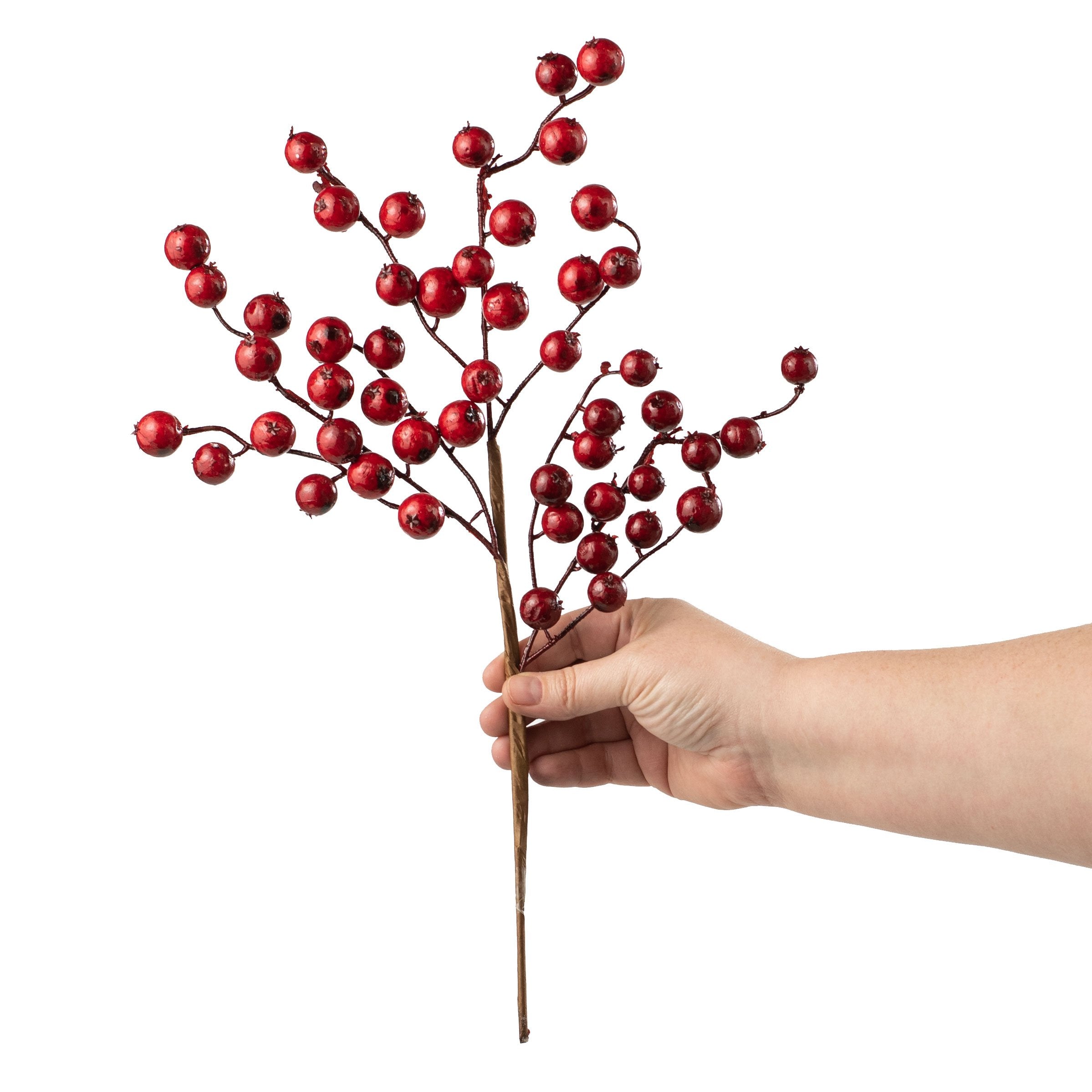 17" Berry Pick: Shiny Red detail photo 3