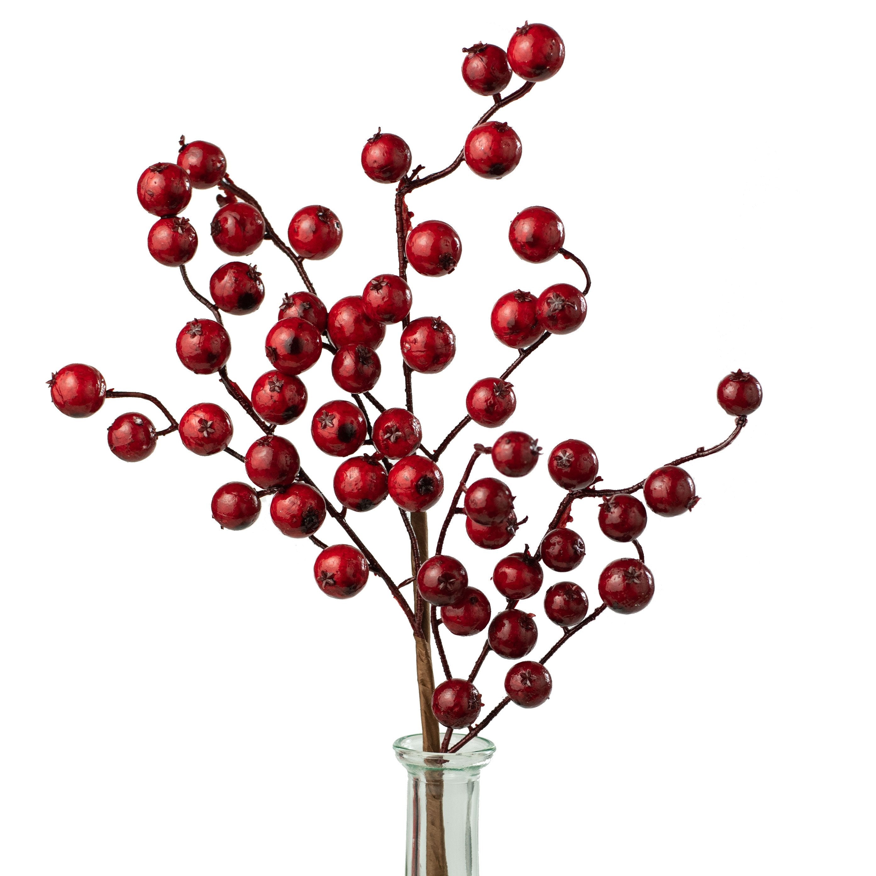17" Berry Pick: Shiny Red Item Number: EW012824